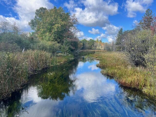 Branch, Michigan, 49402, United States, 5 Bedrooms Bedrooms, ,4 BathroomsBathrooms,Residential,For Sale,1986273
