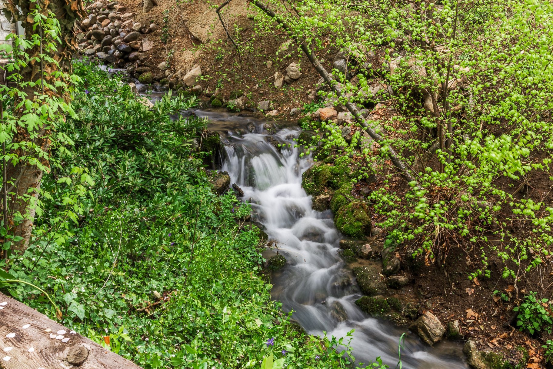  The Bend at Holladay, A Private Creekside Sanctuary - 物件實景