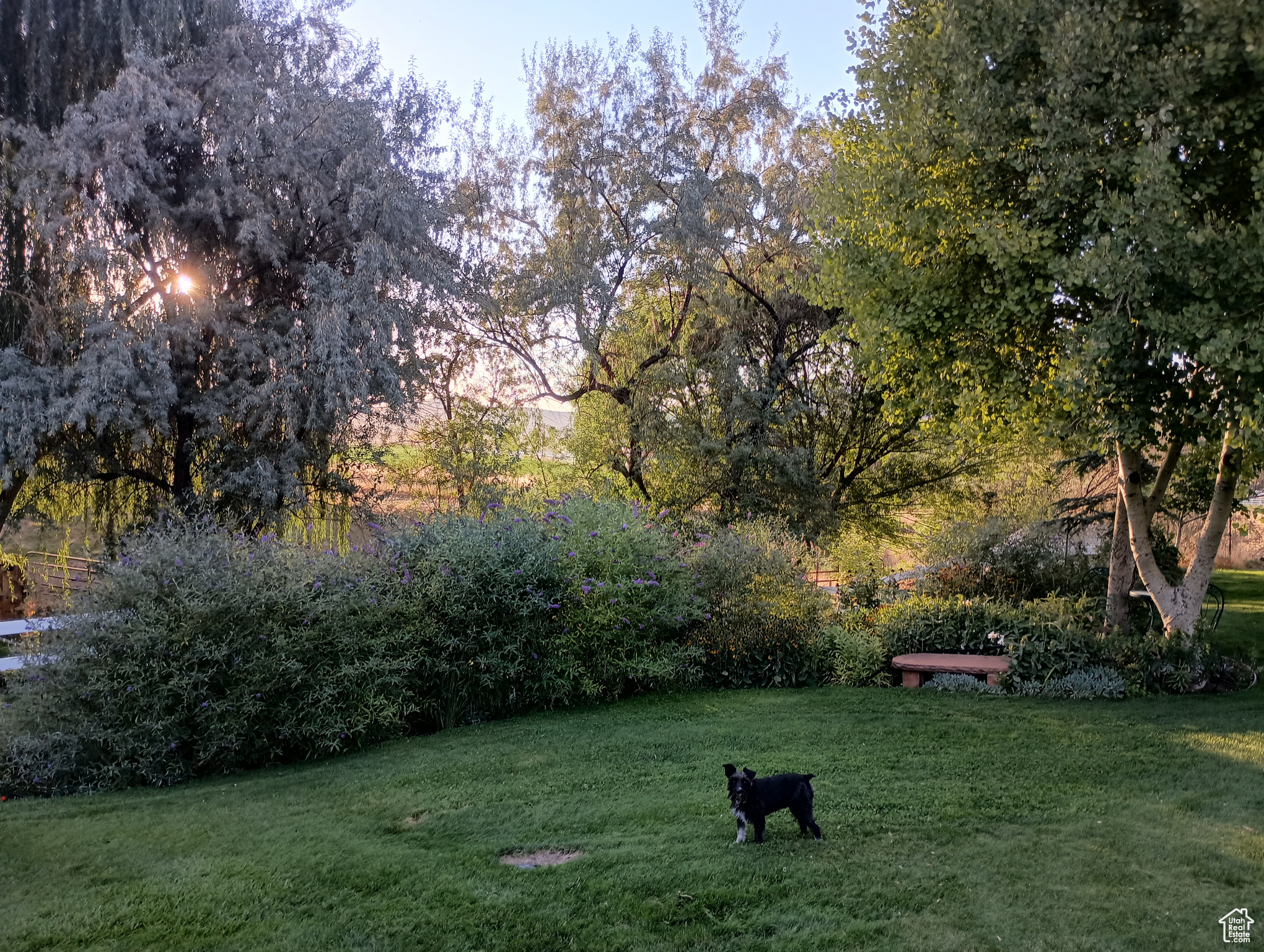 Payson, Utah, 84651, United States, 4 Bedrooms Bedrooms, ,5 BathroomsBathrooms,Residential,For Sale,1977983