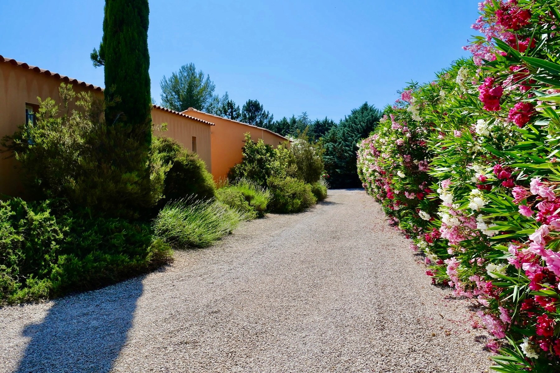  Architect-designed villa with pool - 10 min from Uzès - 物件實景