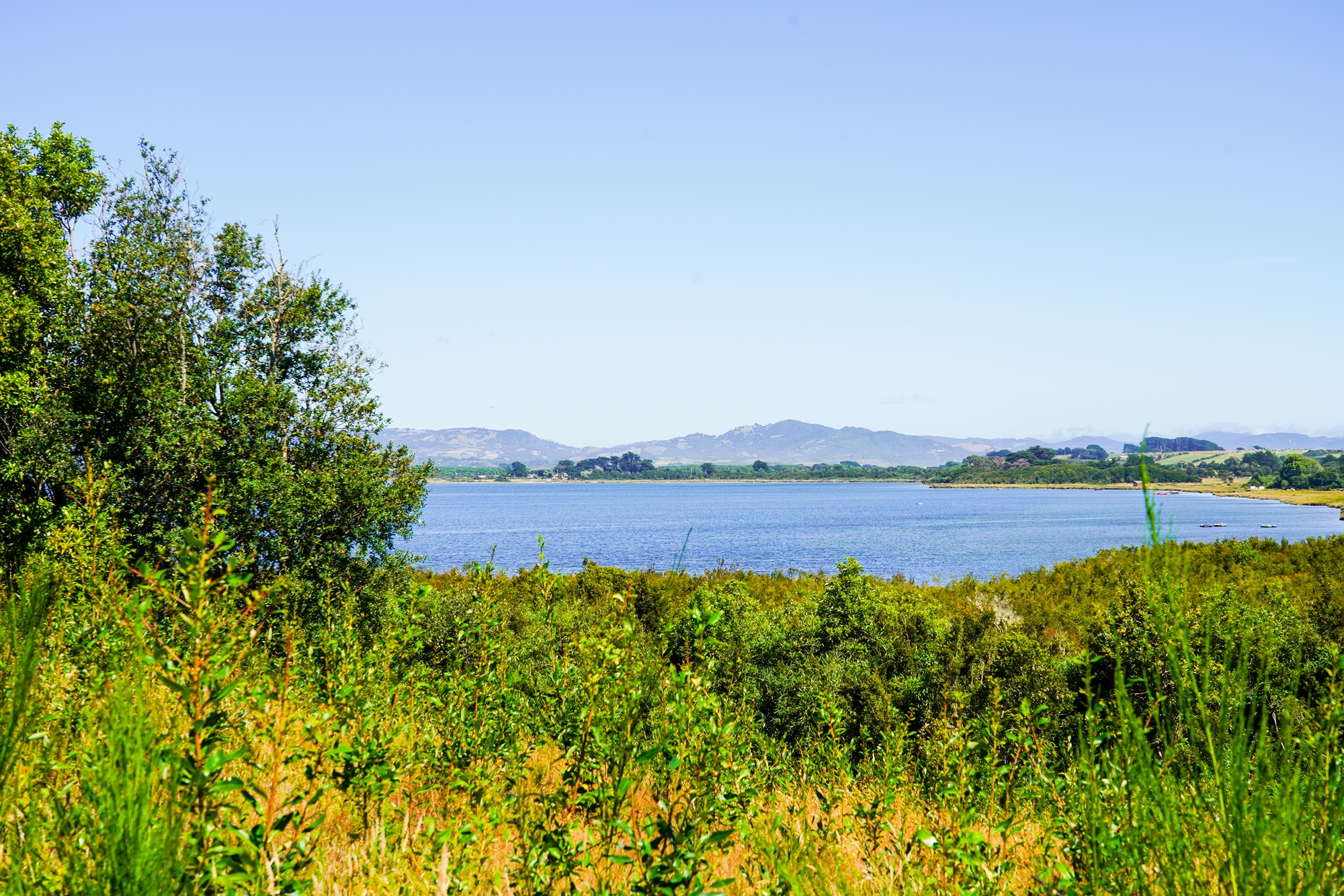  12.2-Hectare Oceanfront Property in Chiloé - 物件實景