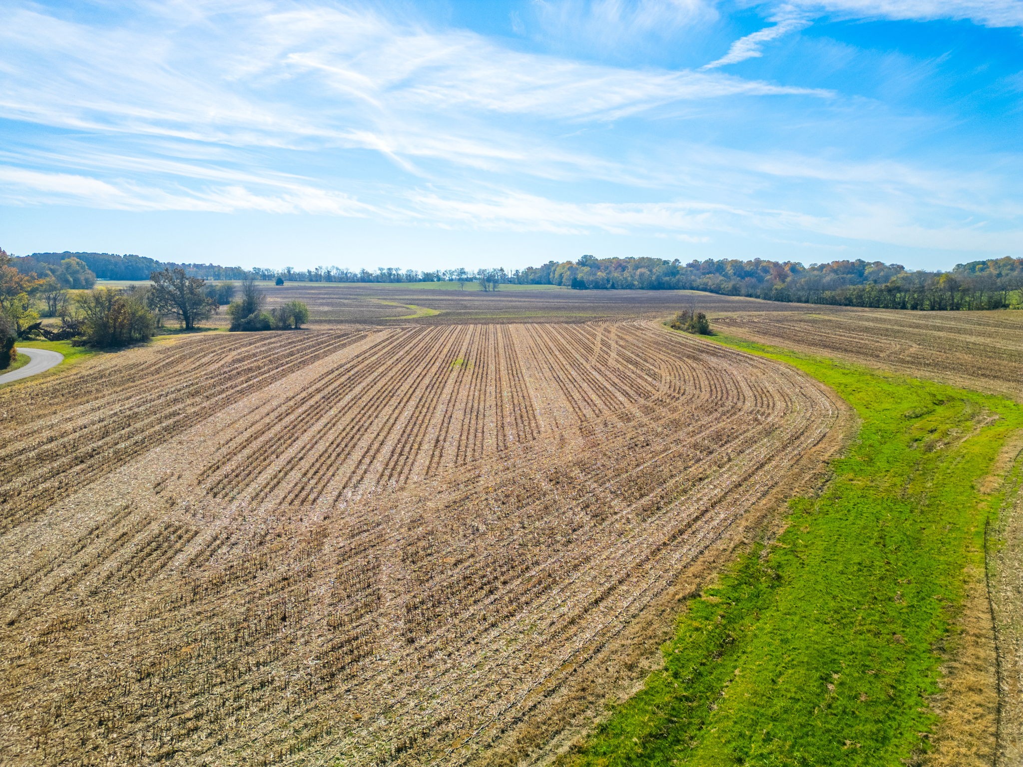 Cross Plains, Tennessee, 37049, United States, ,Land,For Sale,2006489