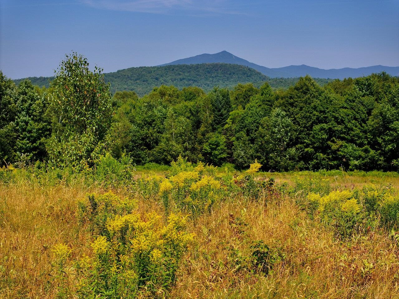 Eden, Vermont, 05653, United States, 2 Bedrooms Bedrooms, ,1 BathroomBathrooms,Residential,For Sale,1917990