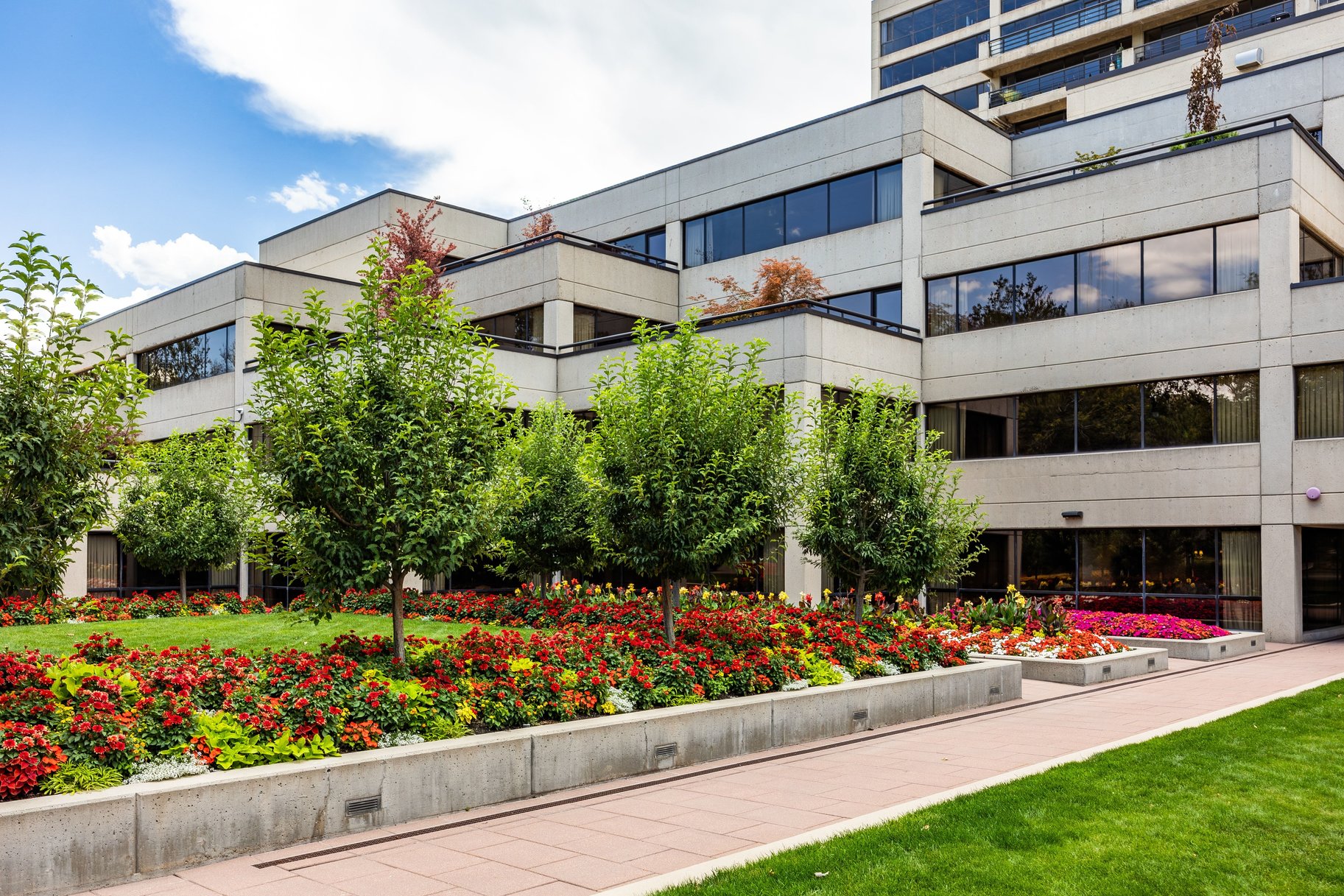  Corner Residence with Towering Views of Salt Lake City - 物件實景