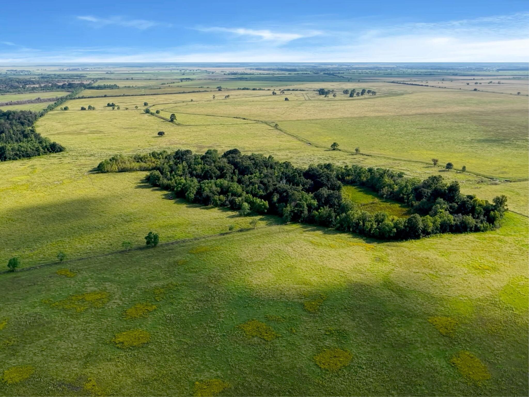 Anahuac, Texas, 77514, United States, ,Land,For Sale,1947447