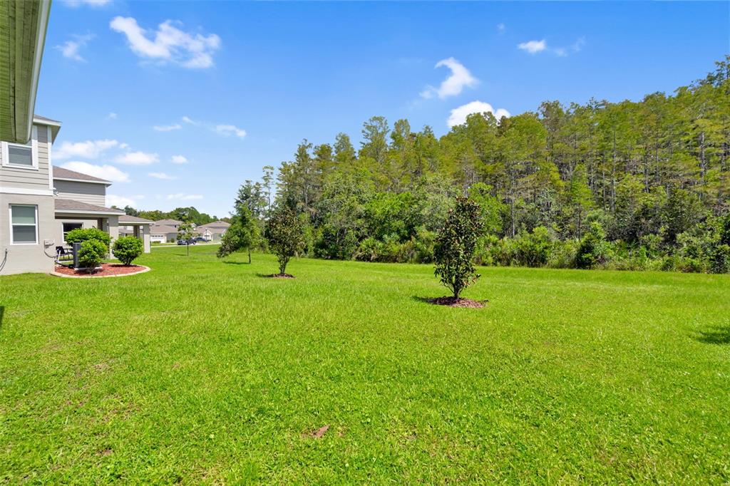 St Cloud, Florida, 34772, United States, 5 Bedrooms Bedrooms, ,3 BathroomsBathrooms,Residential,For Sale,1970821