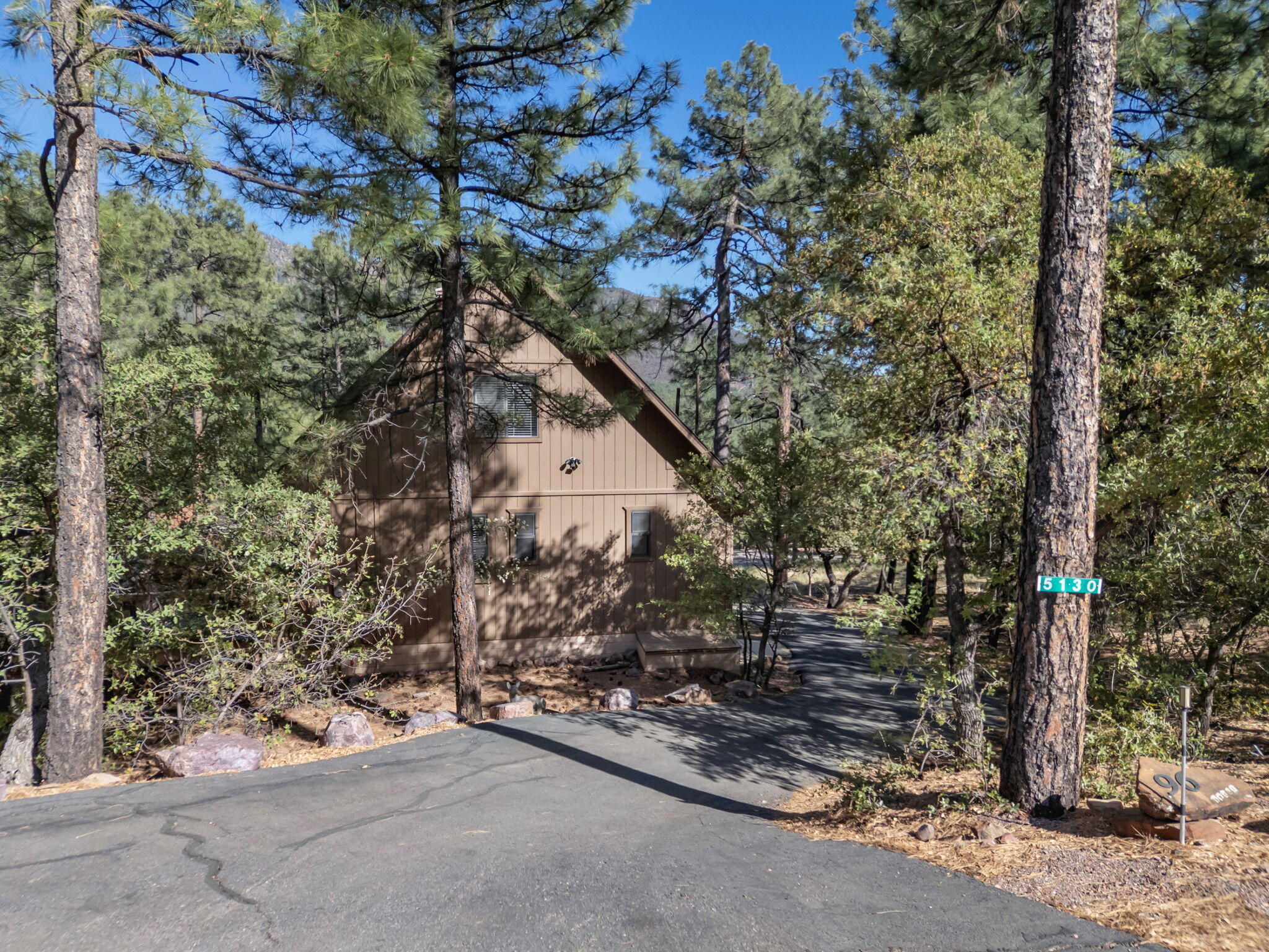 Pine, Arizona, 85544, United States, 3 Bedrooms Bedrooms, ,2 BathroomsBathrooms,Residential,For Sale,1828056