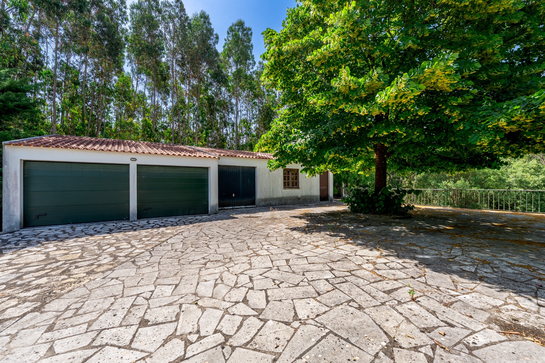  Country Estate, 15 bedrooms, for Sale - 物件實景