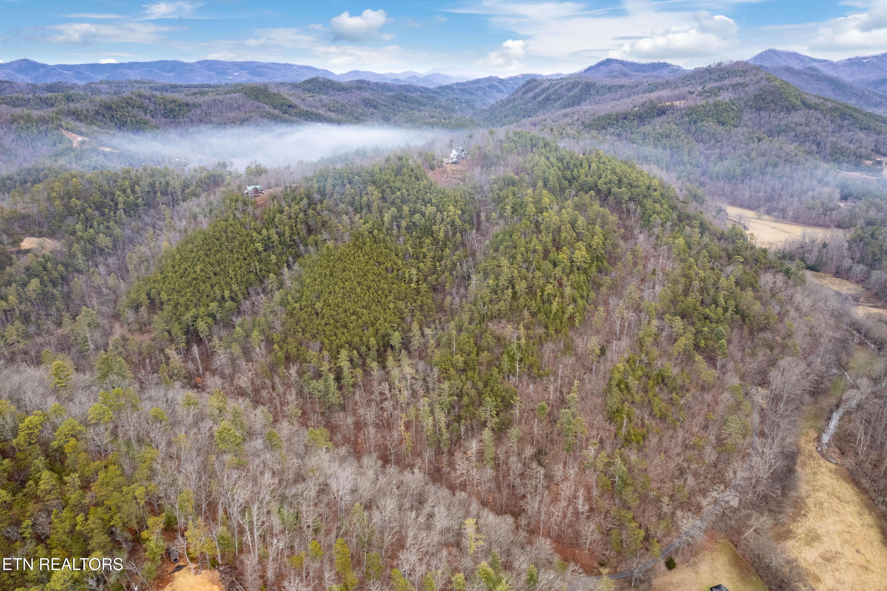 Townsend, Tennessee, 37882, United States, 3 Bedrooms Bedrooms, ,3 BathroomsBathrooms,Residential,For Sale,1982274