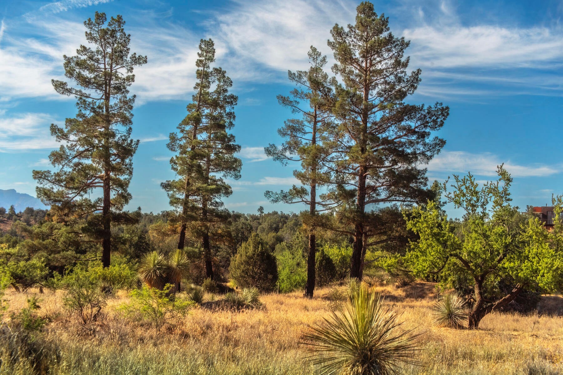  80 Altair Avenue¦Sedona, AZ - 物件實景