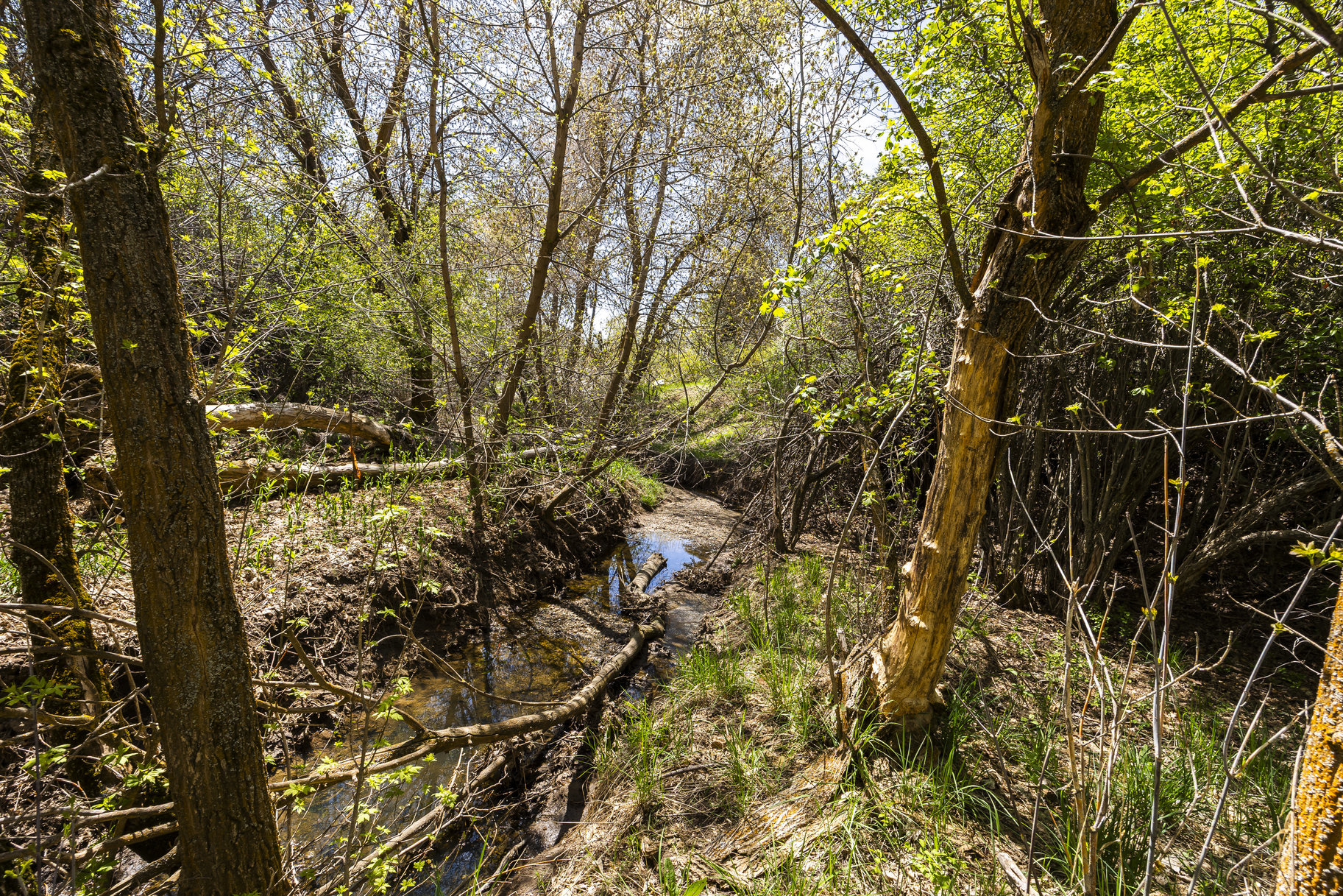  1.47 Acre Lot In East Layton With Endless Possibilities - 物件實景
