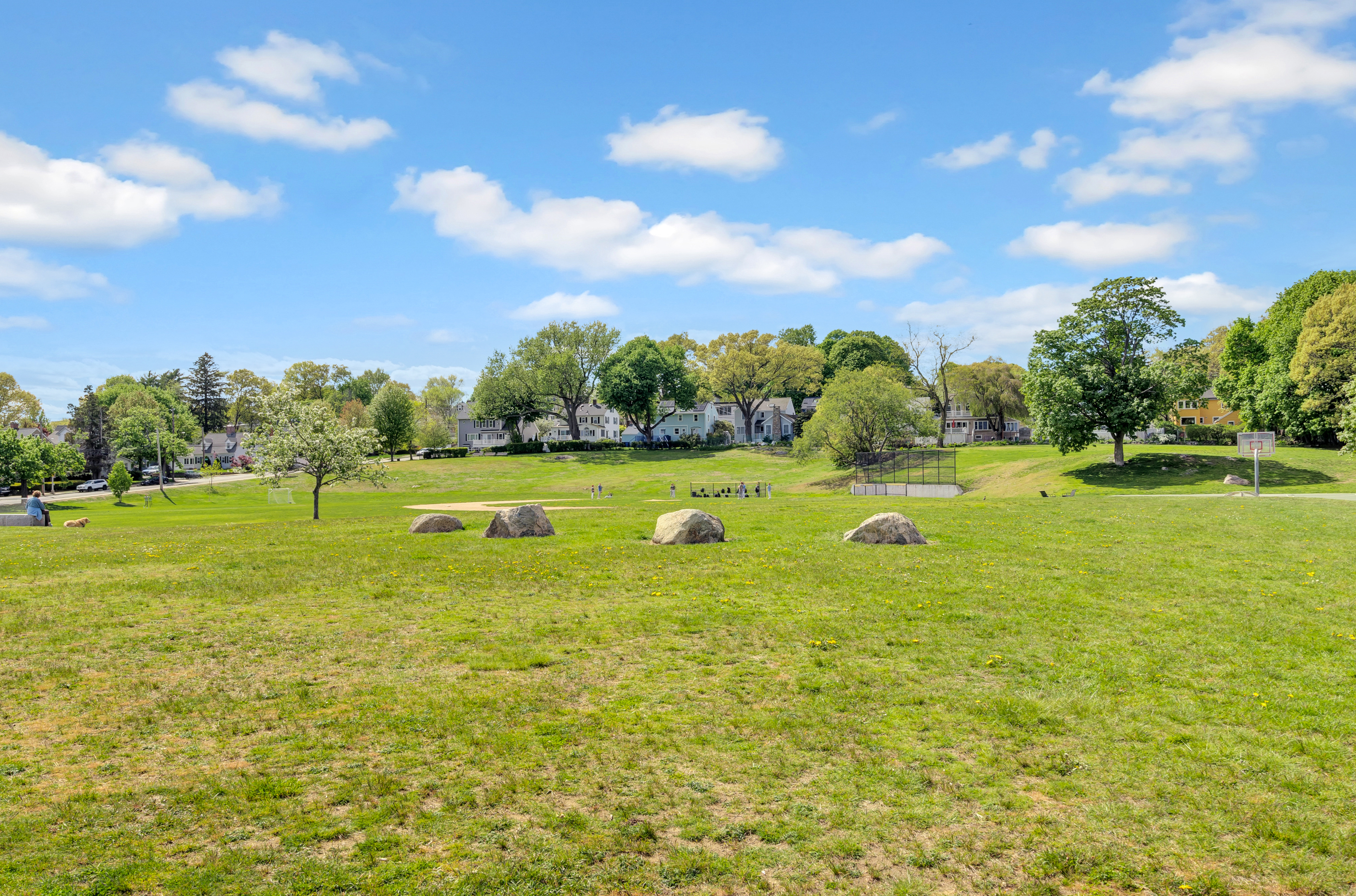  177 Mt. Vernon, Arlington, MA, 02476 - 物件實景