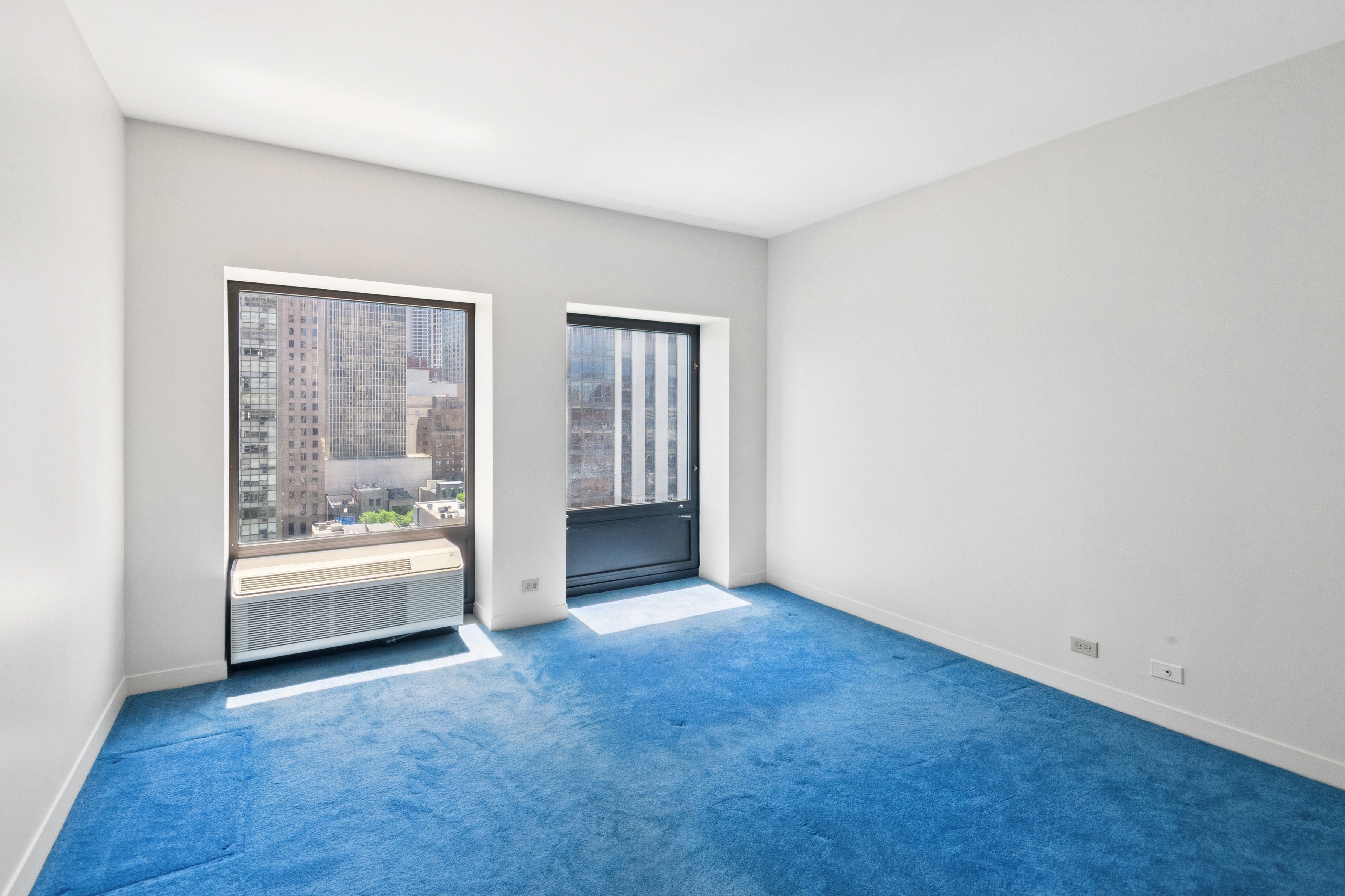  1100 N Lake Shore Drive, Chicago, IL, 60611 - 物件實景