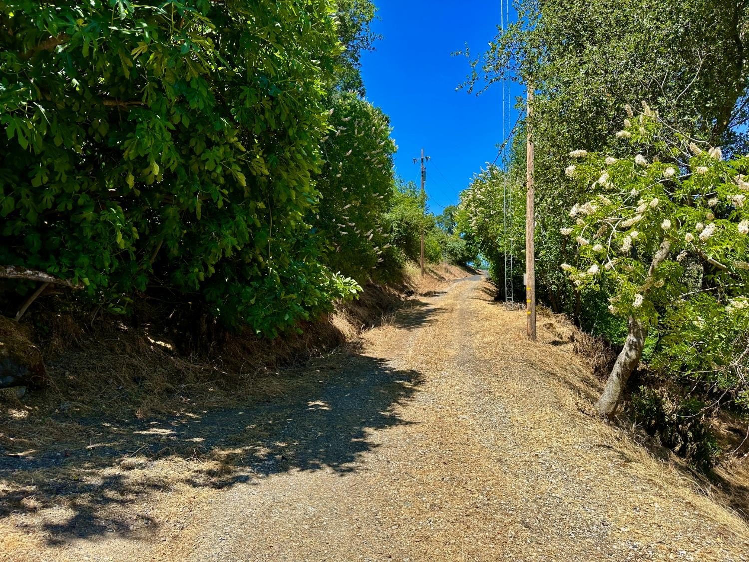 Jamestown, California, 95327, United States, 2 Bedrooms Bedrooms, ,1 BathroomBathrooms,Residential,For Sale,1827310