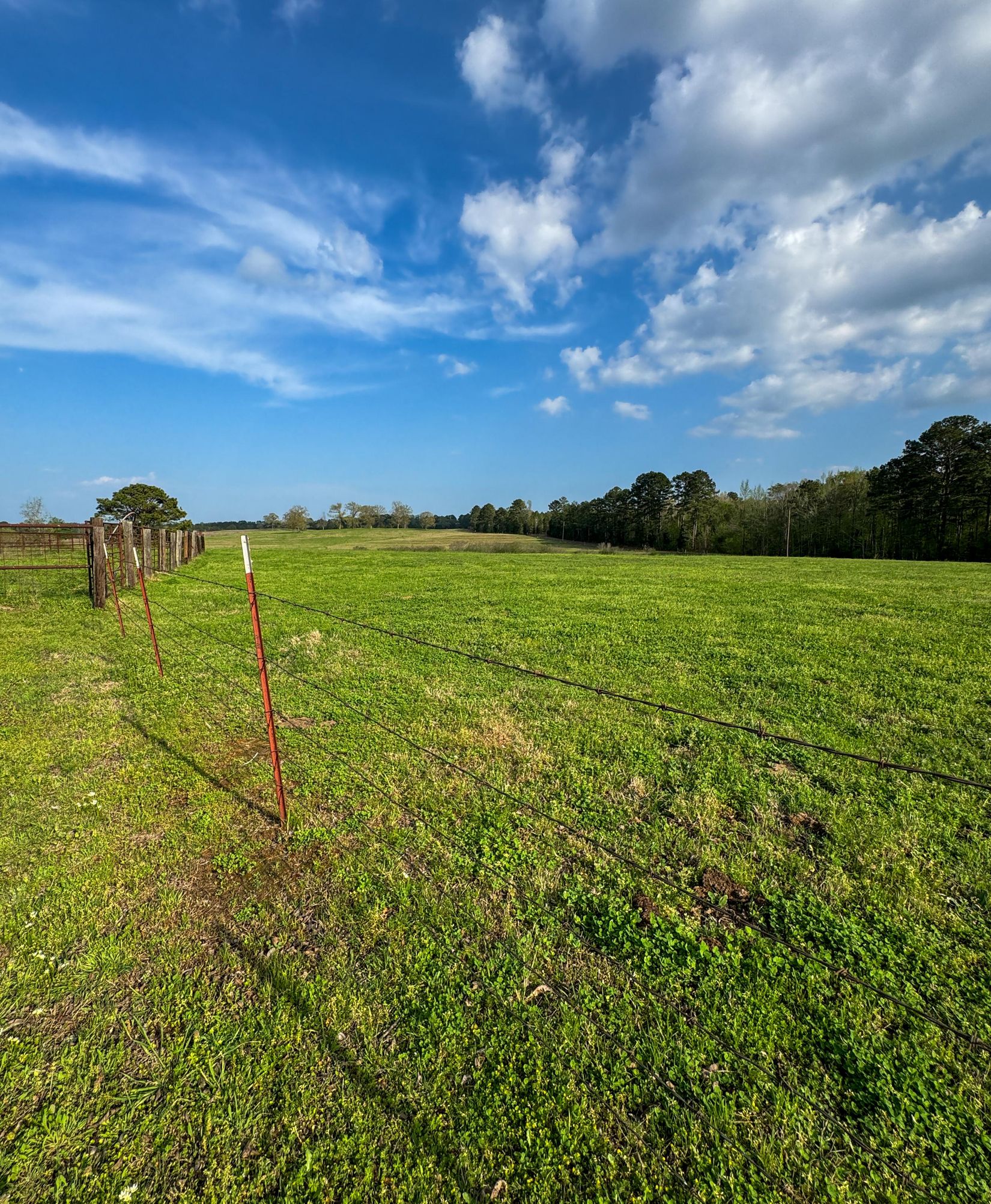 Bivins, Texas, 75555, United States, ,Residential,For Sale,1755933