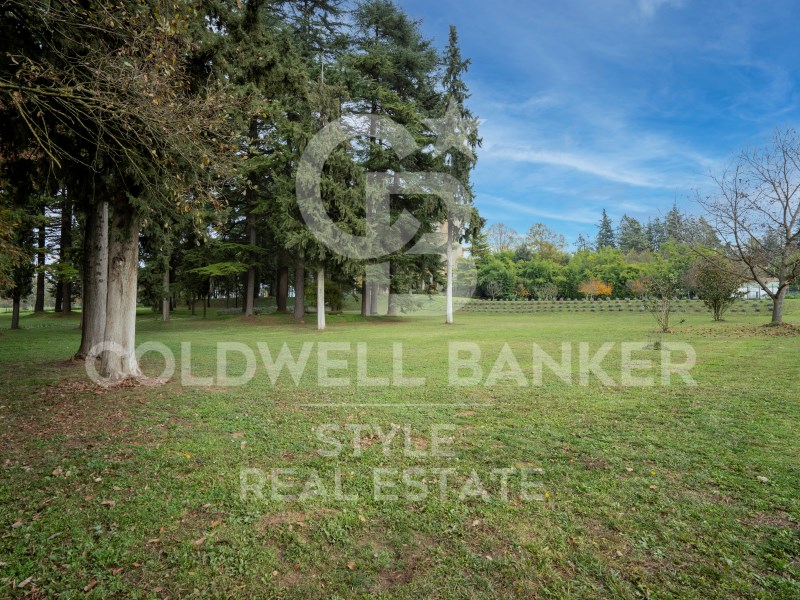Barcelona, Torell?, Torell? Barcelona, Torell?, To, Torelló, Catalonia, ES, 13 Bedrooms Bedrooms, ,4 BathroomsBathrooms,Residential,For Sale,Barcelona, Torell?, Torell? Barcelona, Torell?, To,1448809
