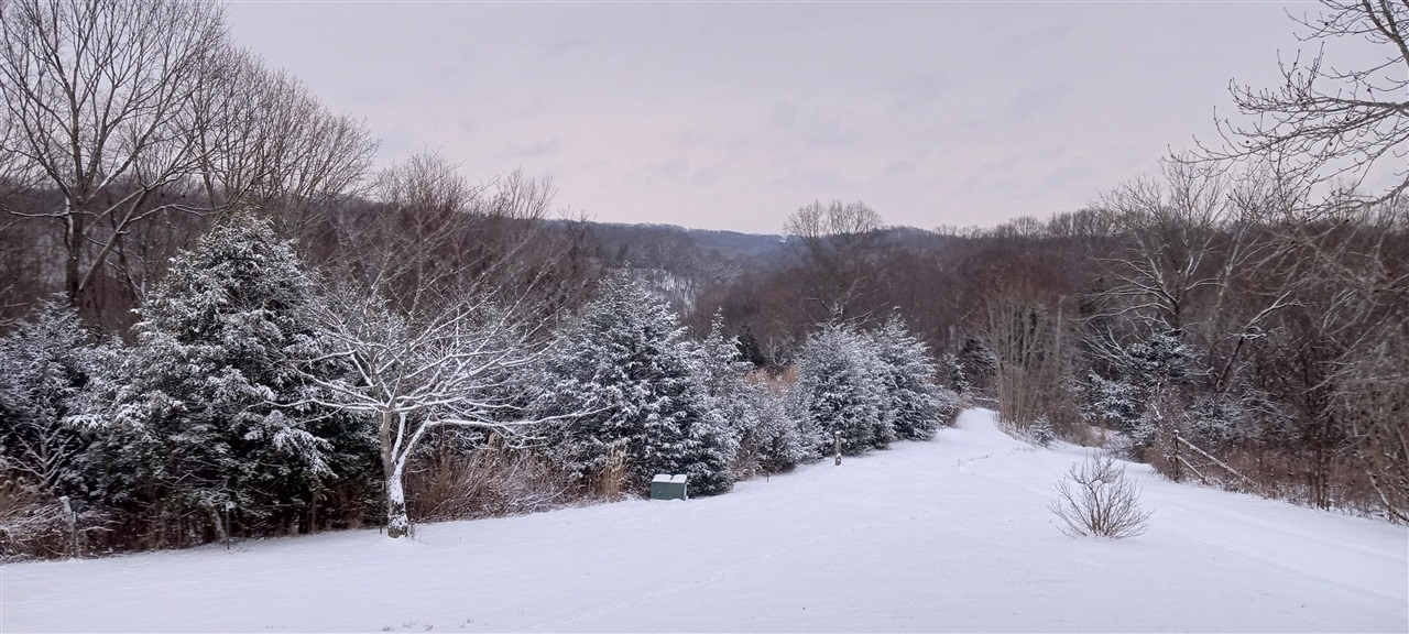 Willow Shade, Kentucky, 42166, United States, 3 Bedrooms Bedrooms, ,2 BathroomsBathrooms,Residential,For Sale,1991903