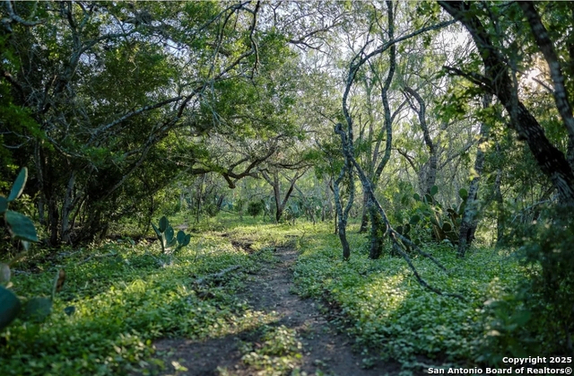 Beeville, Texas, 78102, United States, ,Land,For Sale,1988302