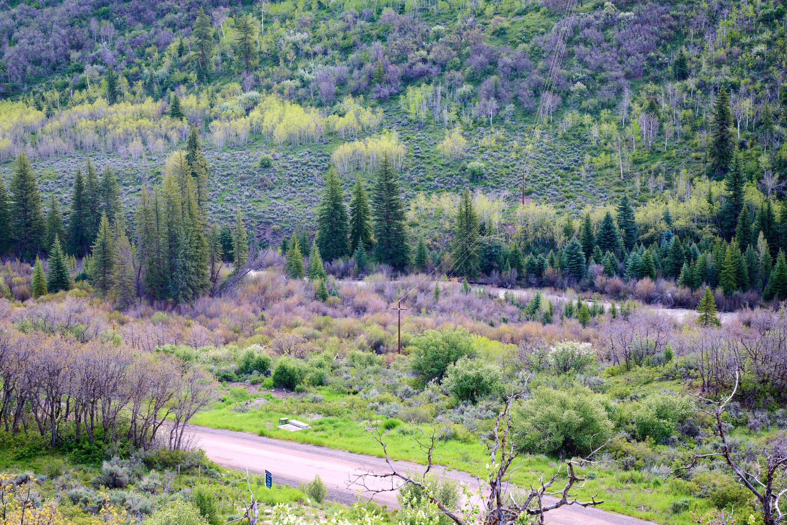  51 Shield O Road, Snowmass, CO, 81654 - 物件實景