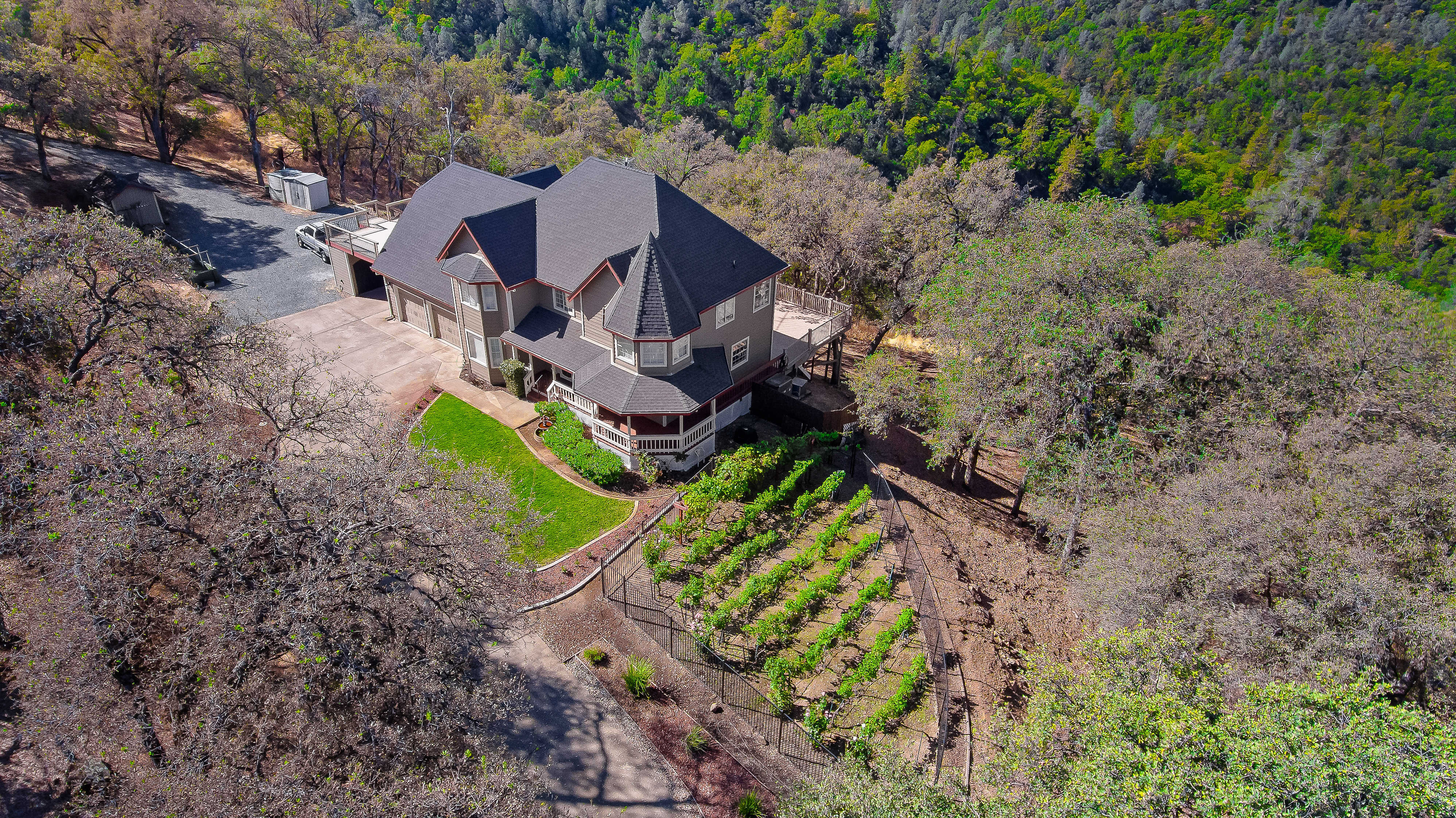  8681 Riverwood Drive, Placerville, CA 95667 - 物件實景