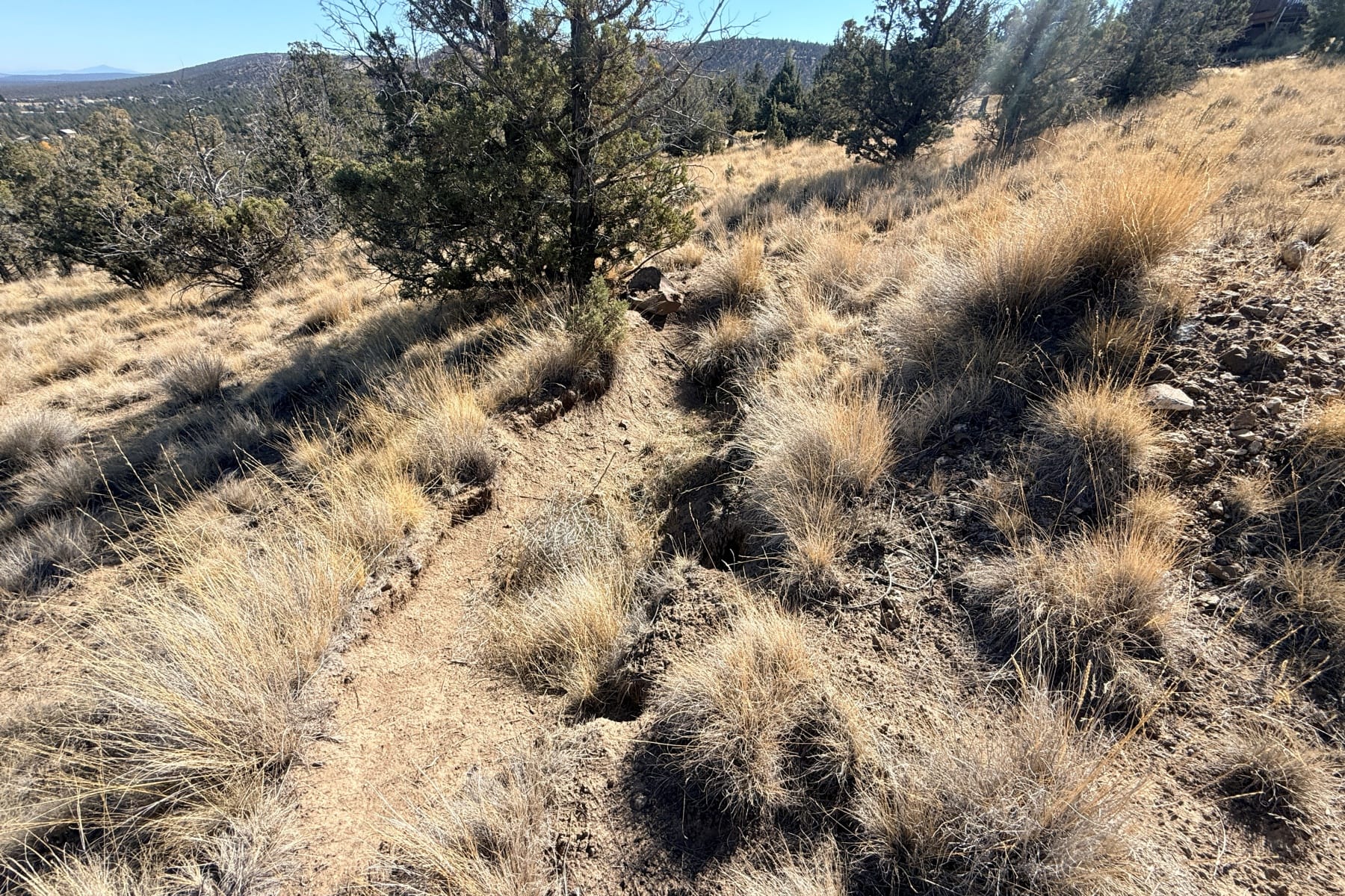  1000 SE Night Hawk Court Prineville, OR 97754 - 物件實景