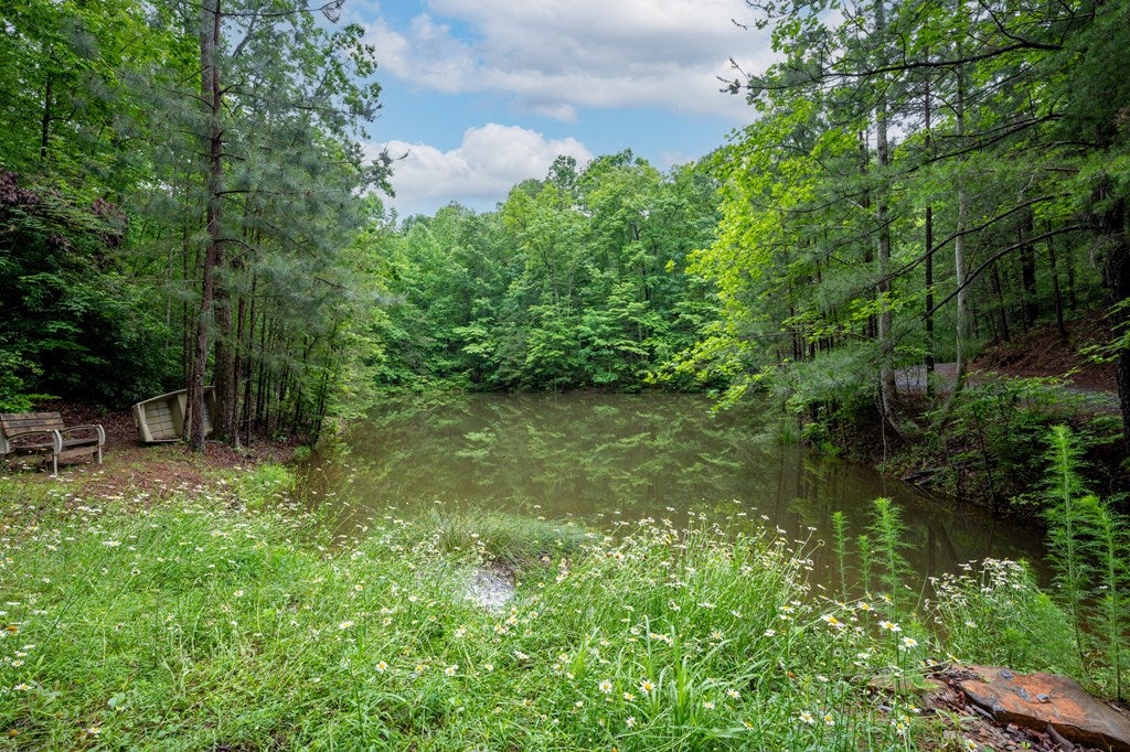 Ellijay, Georgia, 30540, United States, 3 Bedrooms Bedrooms, ,3 BathroomsBathrooms,Residential,For Sale,1837268