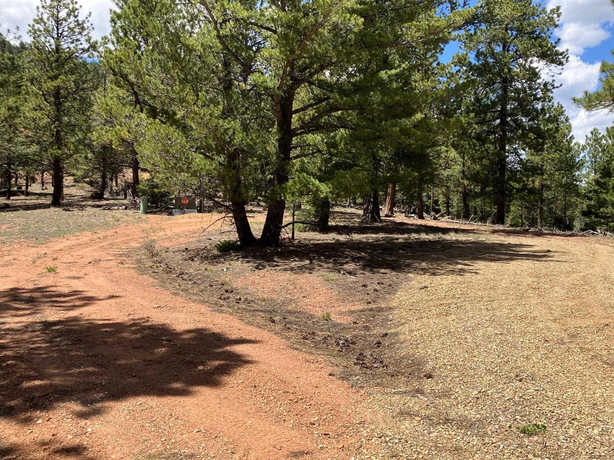 Eagle Nest, New Mexico, 87718, United States, ,Land,For Sale,1752253