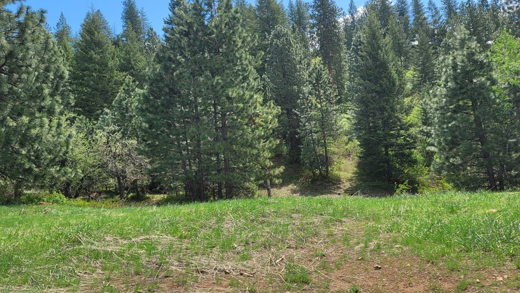 Council, Idaho, 83612, United States, 3 Bedrooms Bedrooms, ,2 BathroomsBathrooms,Residential,For Sale,1980798