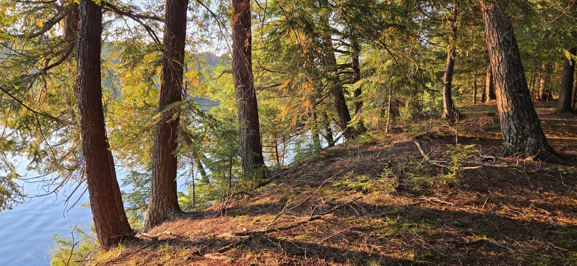 Presque Isle, Wisconsin, 54557, United States, ,Land,For Sale,1984076