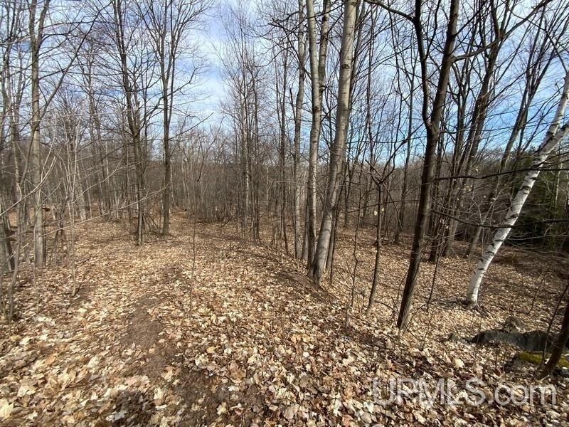 TBD W US 41, Marquette, Michigan, 49855, United States, ,Residential,For Sale,TBD W US 41,1601608