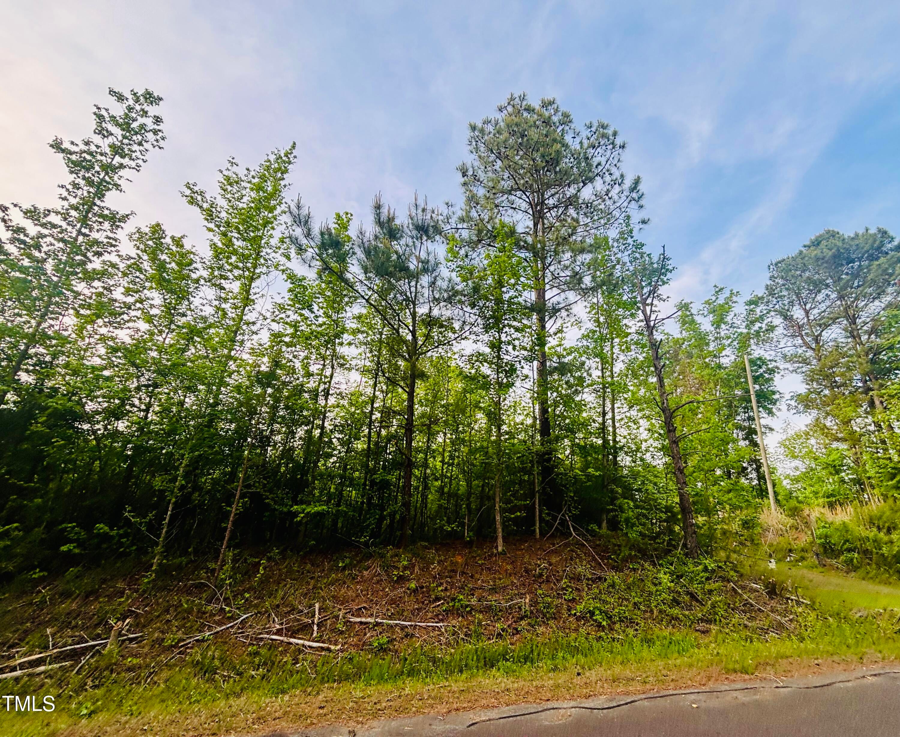 Pittsboro, North Carolina, 27312, United States, ,Land,For Sale,1786582