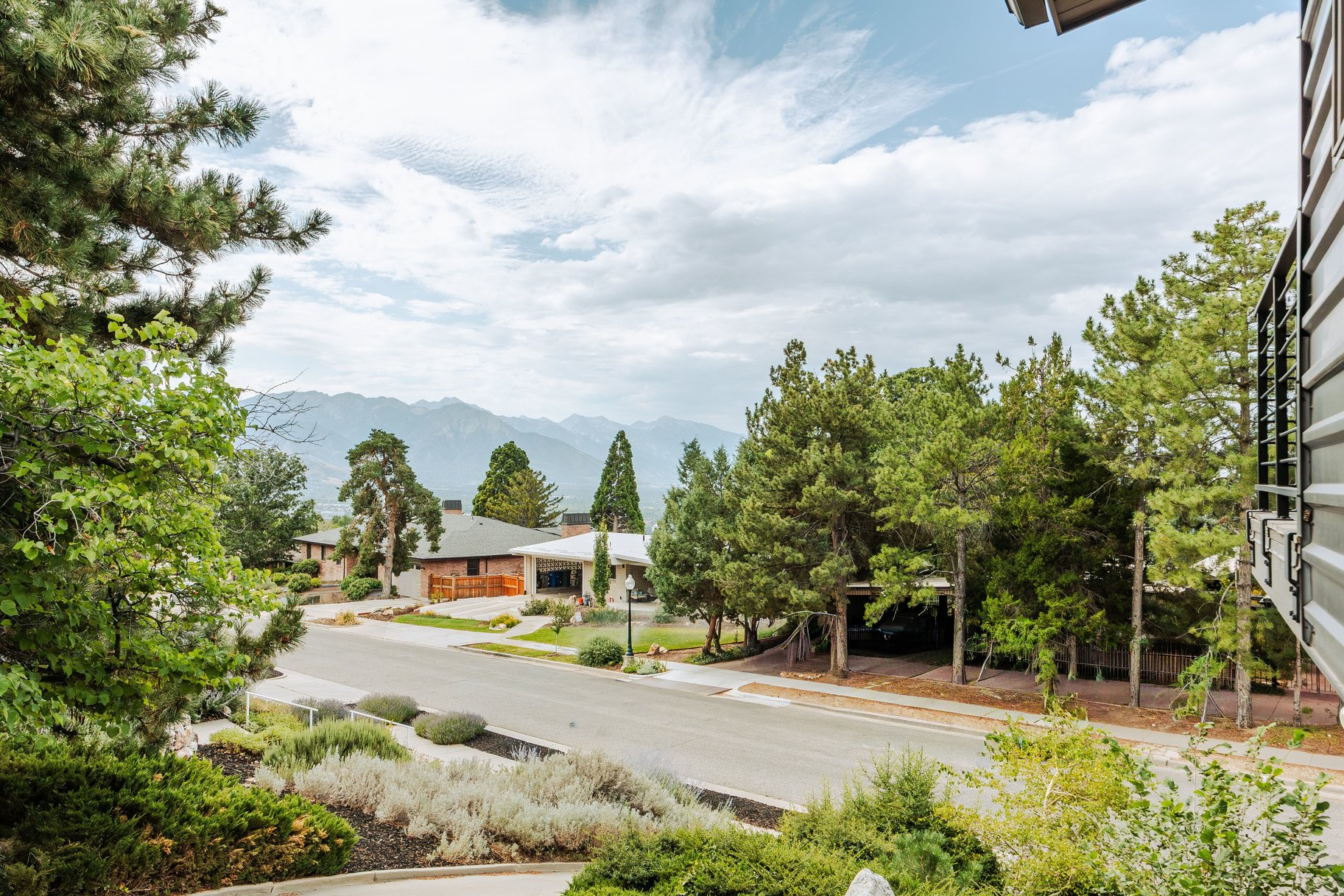  In the Tree Midcentury Modern Backing up to Shoreline Trail - 物件實景