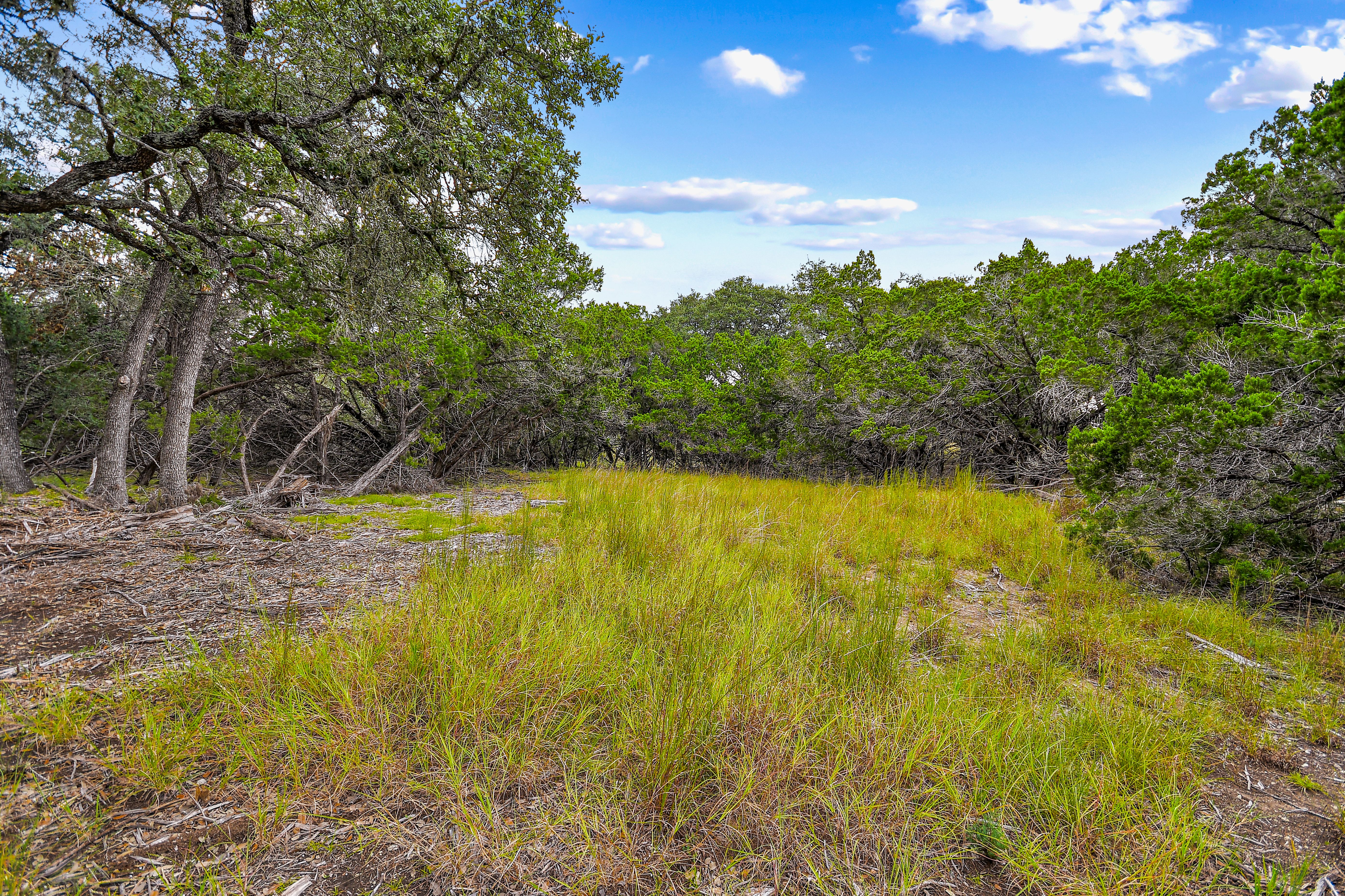 TBD Hwy 46 / Madrona Ranch Road, Pipe Creek, TX 78063 - 物件實景
