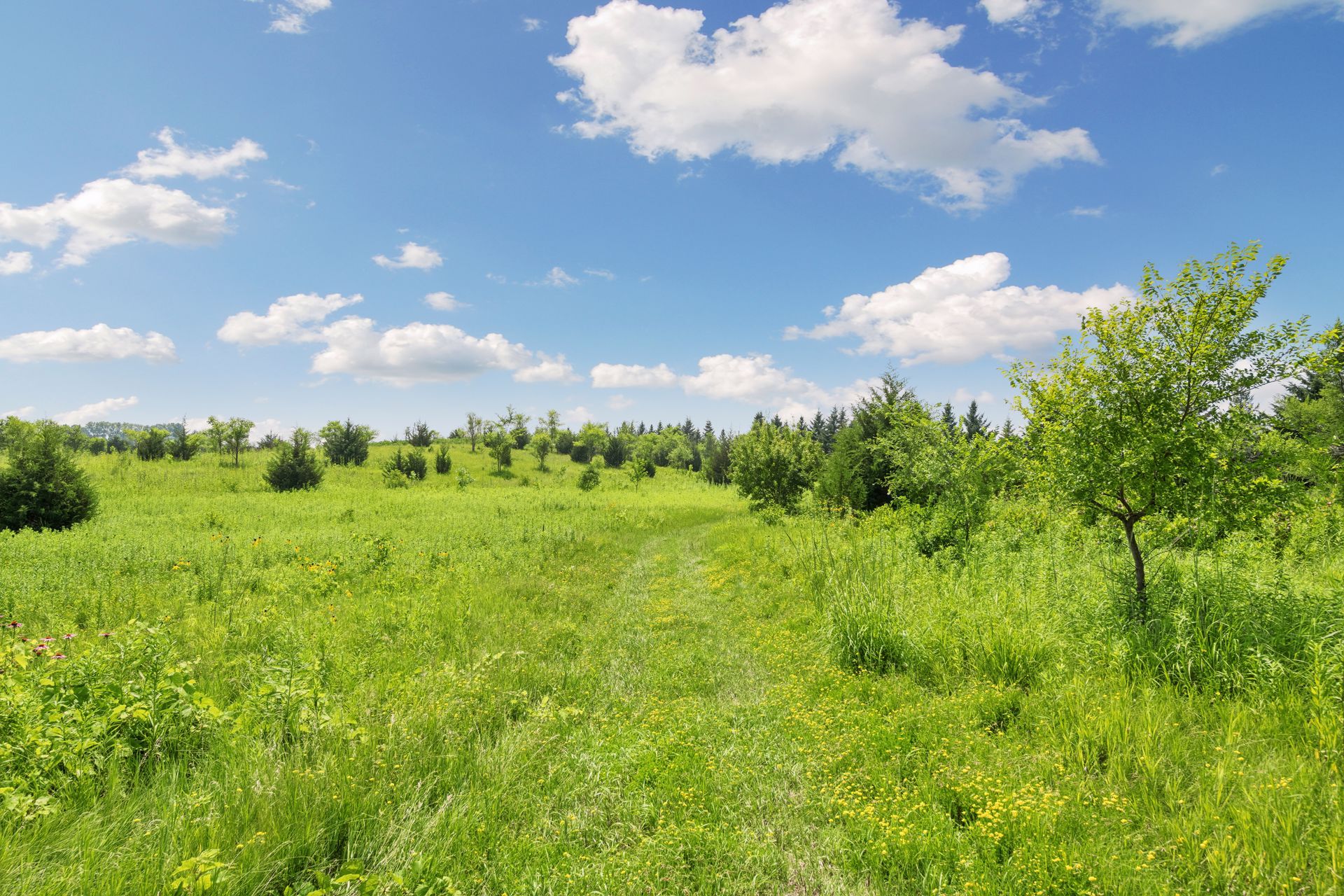  Private Prior Lake Farmstead and Nature Retreat - 物件實景