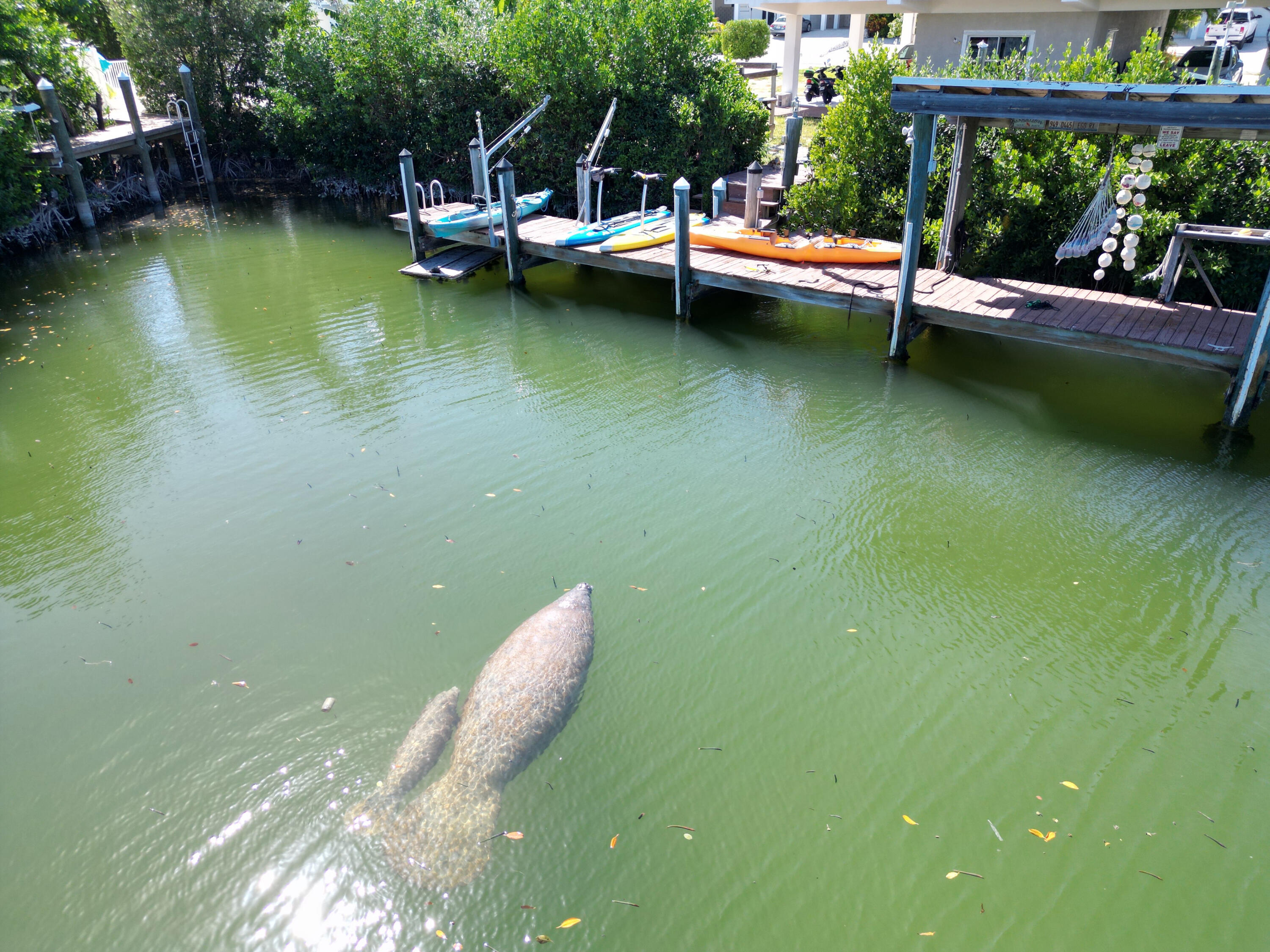 MARATHON, Florida, 33050, United States, 3 Bedrooms Bedrooms, ,2 BathroomsBathrooms,Residential,For Sale,2002078