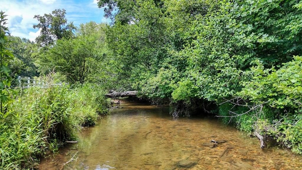 Blairsville, Georgia, 30512, United States, 4 Bedrooms Bedrooms, ,3 BathroomsBathrooms,Residential,For Sale,1983260