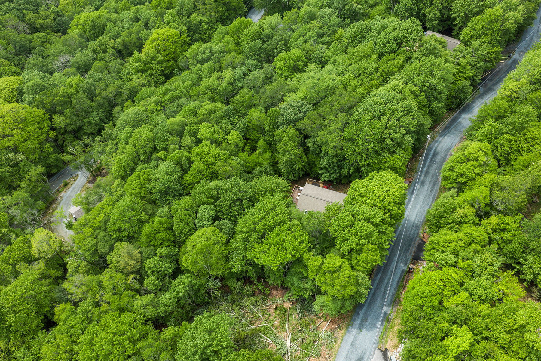 BEECH MOUNTAIN - 物件實景