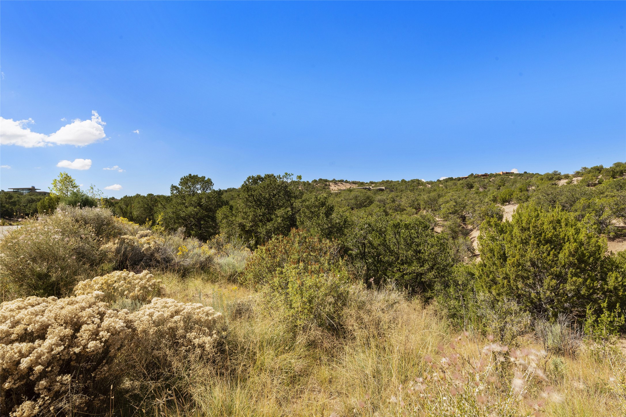  2901 Aspen View, Lot 185 - 物件實景