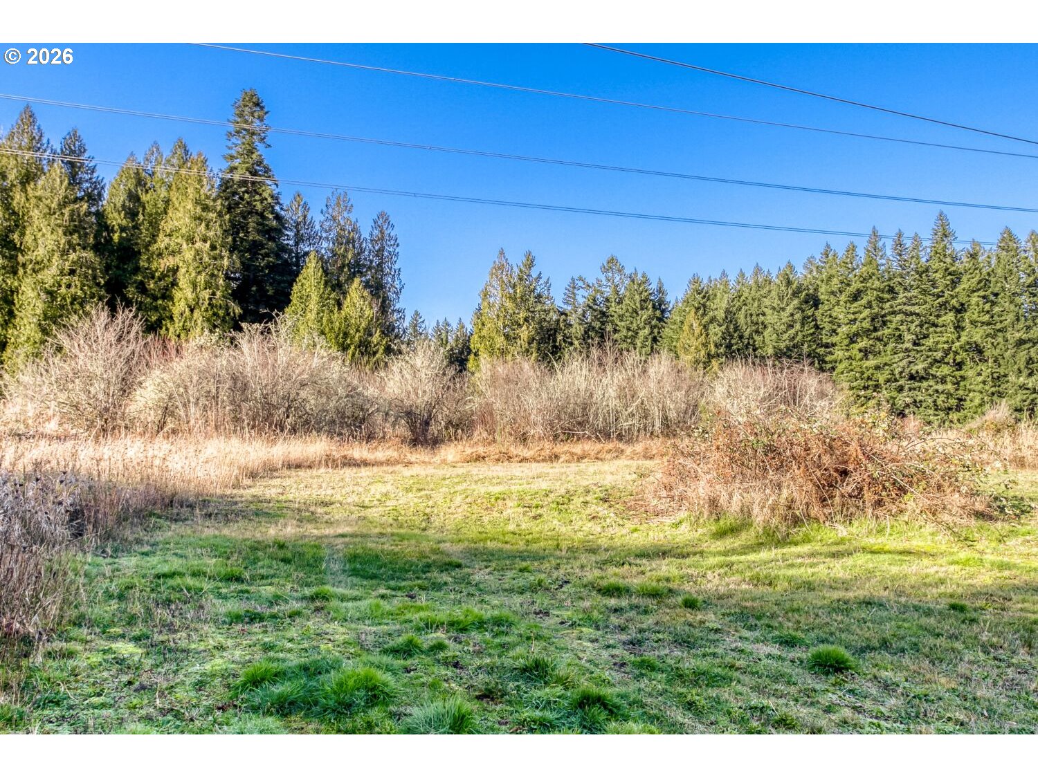 Oregoncity, Oregon, 97045, United States, 4 Bedrooms Bedrooms, ,3 BathroomsBathrooms,Residential,For Sale,1982057