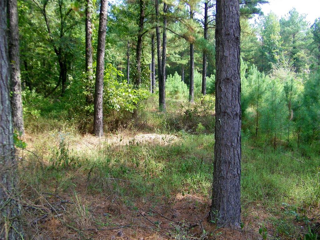 Broken Bow, Oklahoma, 74728, United States, ,Residential,For Sale,1979541