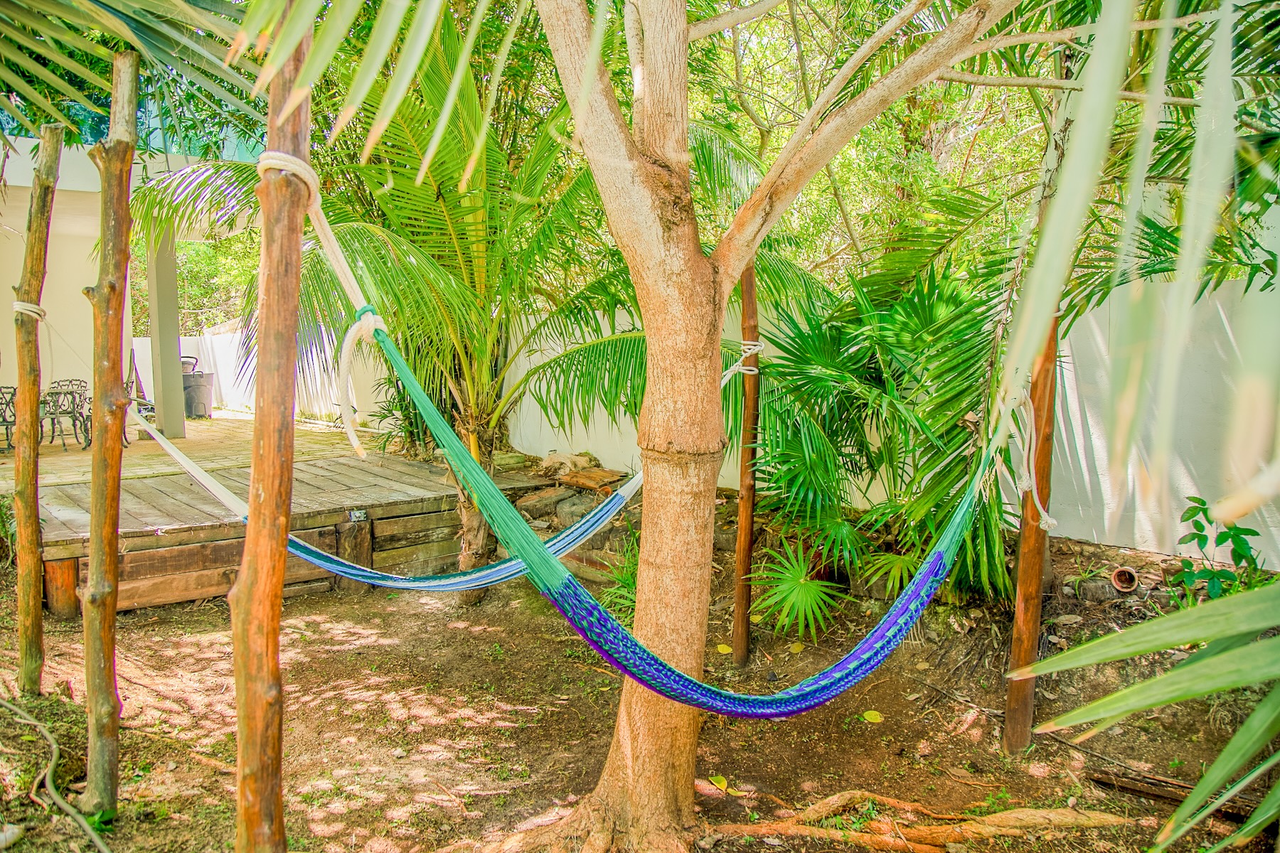  Tropical Living with Contemporary Design in Holbox Island - 物件實景