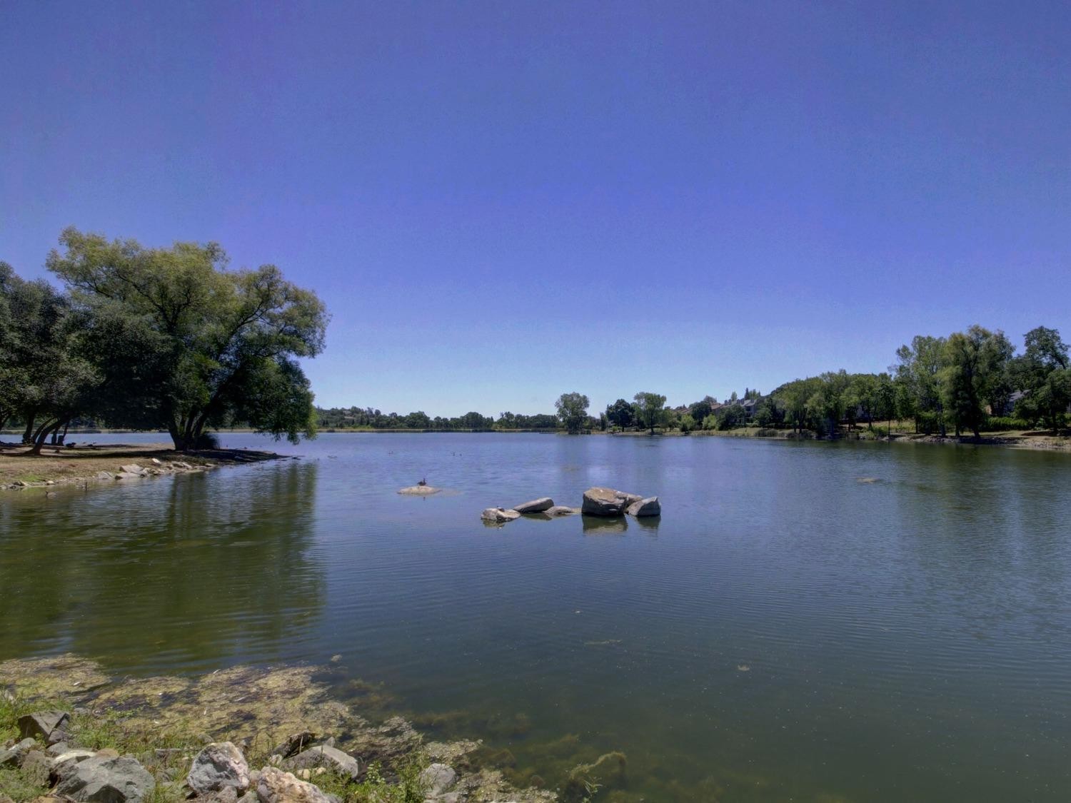 3705 Chelsea Road, Cameron Park, California, 95682, United States, 3 Bedrooms Bedrooms, ,2 BathroomsBathrooms,Residential,For Sale,3705 Chelsea Road,1627321