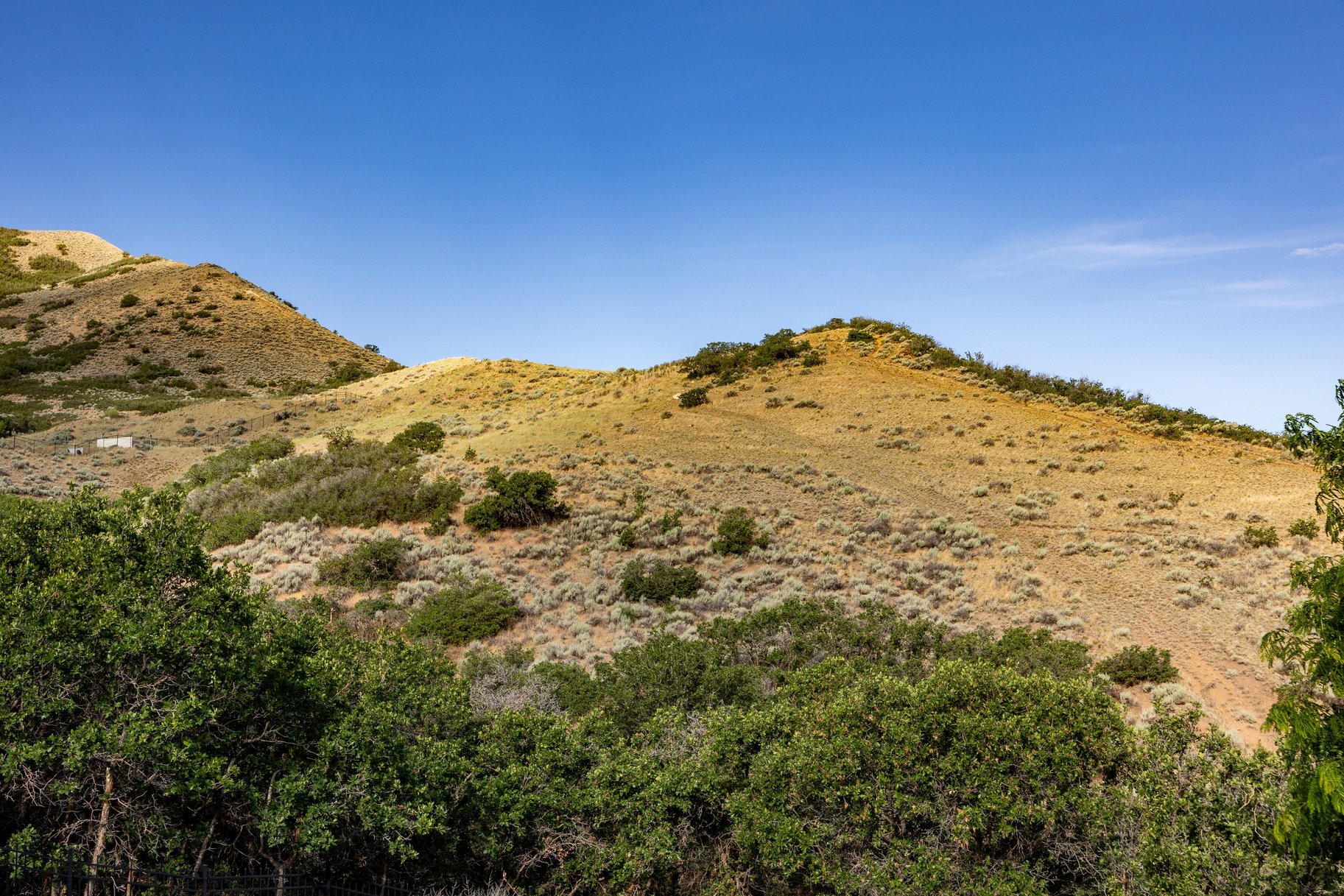  Mountain Views, Trail Access & Luxury East Bench Living - 物件實景