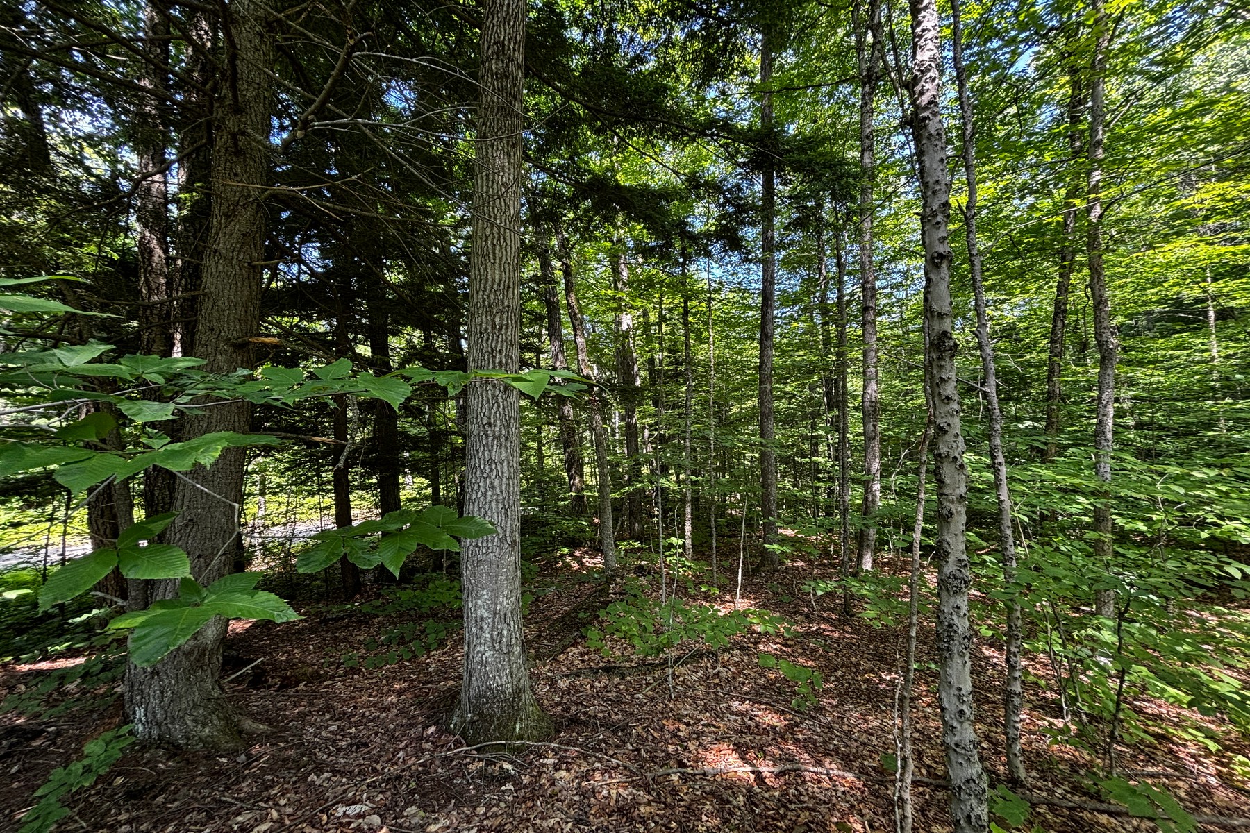  27 acres with close to Chester Village and Skiing - 物件實景