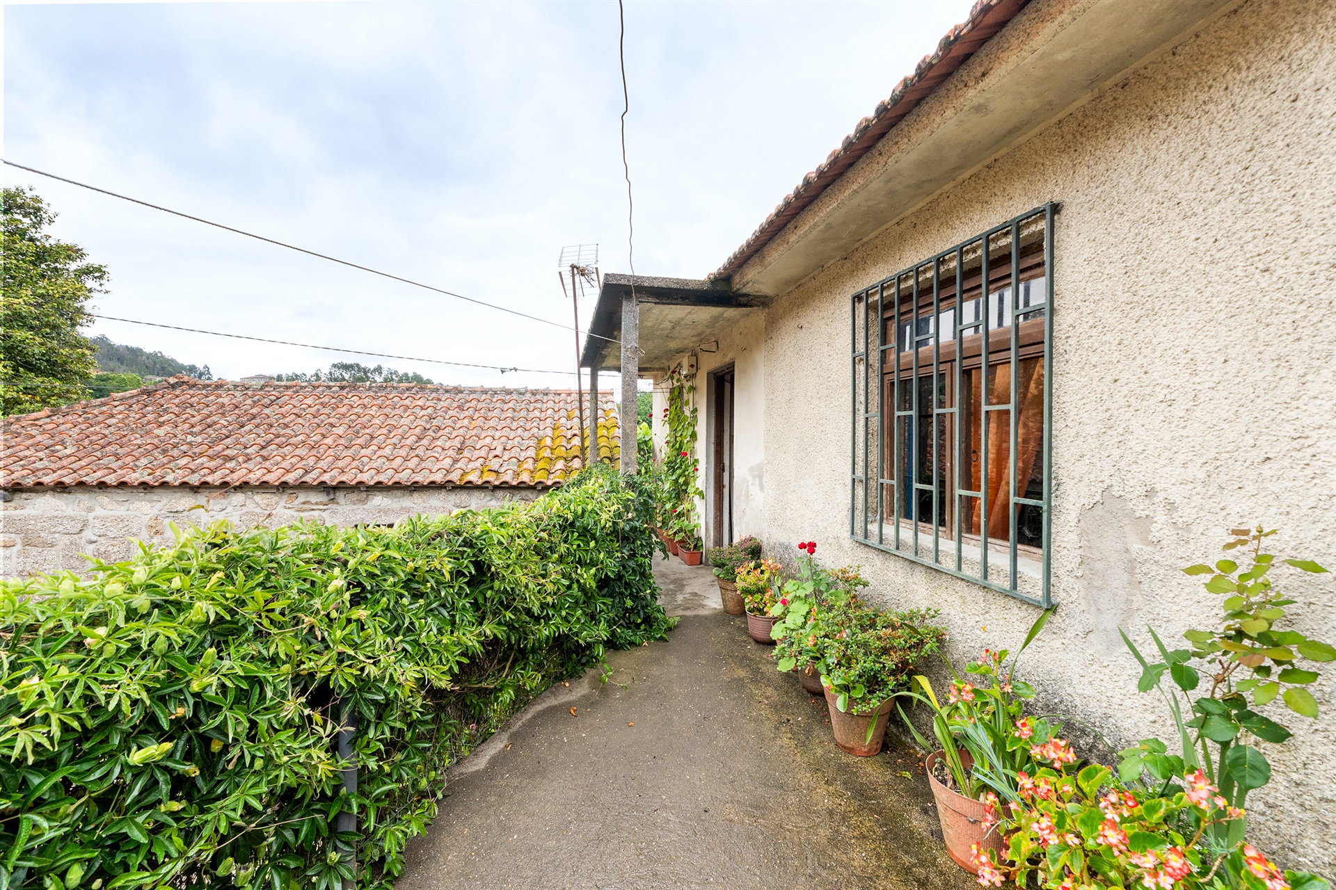  Farm, 3 bedrooms, for Sale - 物件實景