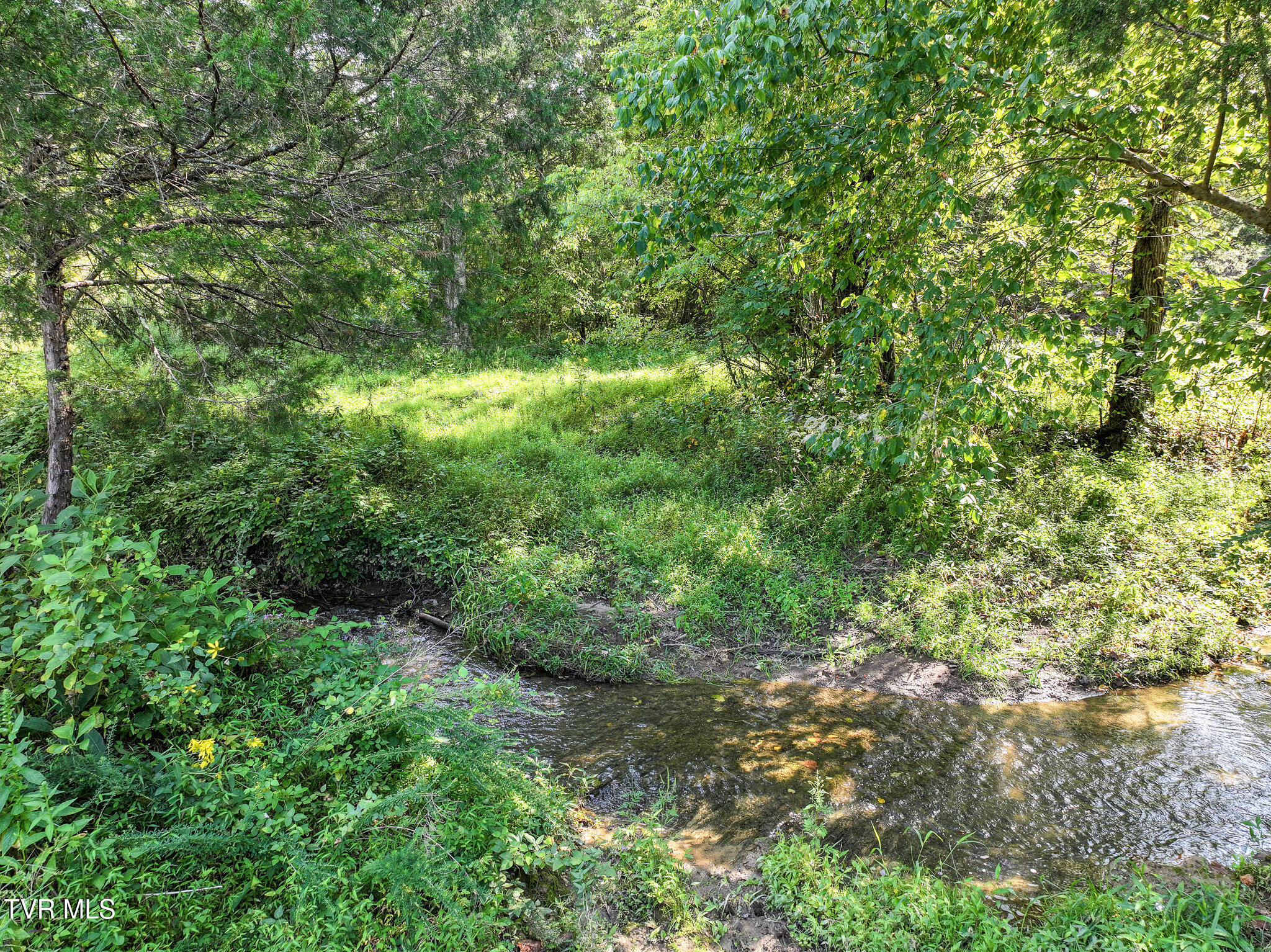 Greeneville, Tennessee, 37745, United States, 3 Bedrooms Bedrooms, ,3 BathroomsBathrooms,Residential,For Sale,2039547