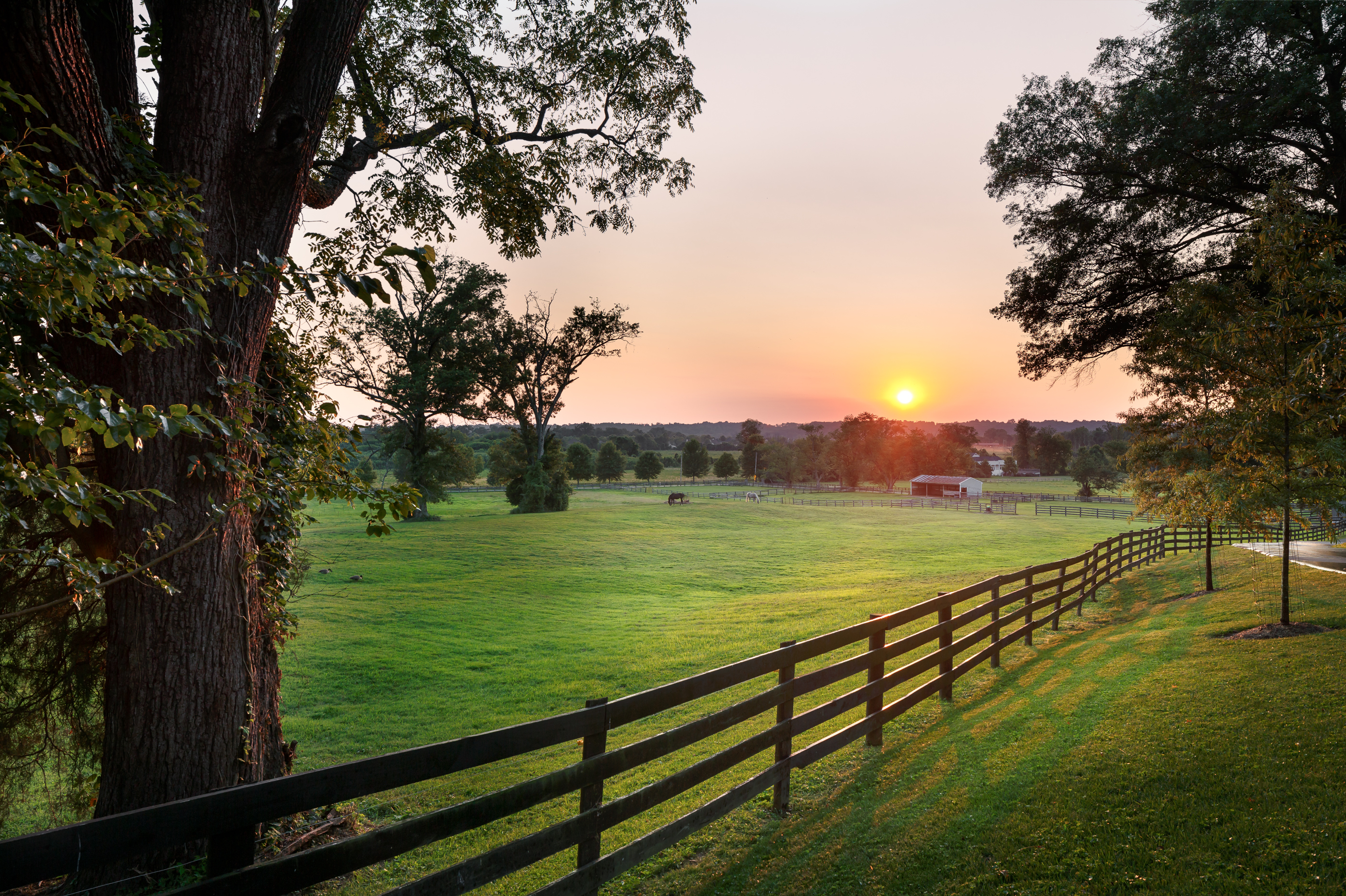  10601 US Hwy 42, Prospect, KY 40059 - 物件實景