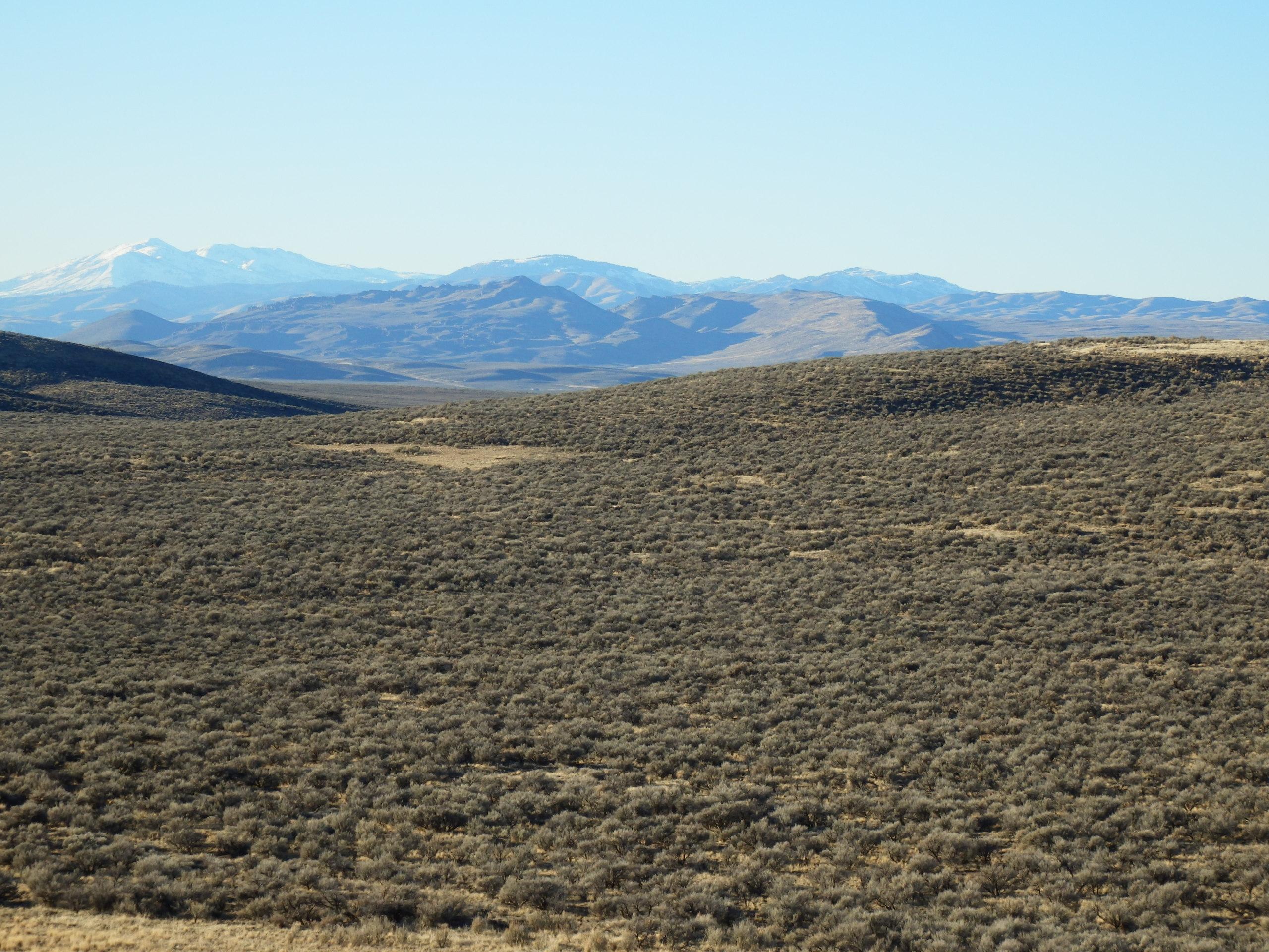 Blaine County, Idaho, 83313, United States, ,Land,For Sale,1784823