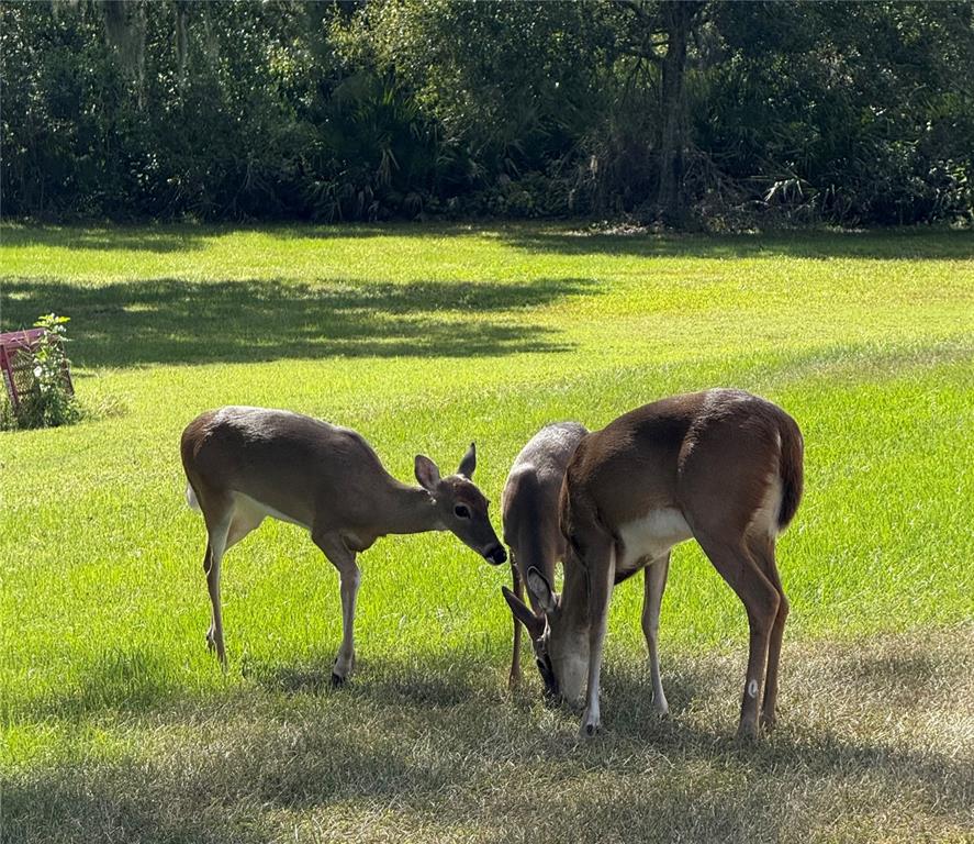 Sarasota, Florida, 34240, United States, 4 Bedrooms Bedrooms, ,4 BathroomsBathrooms,Residential,For Sale,1987822