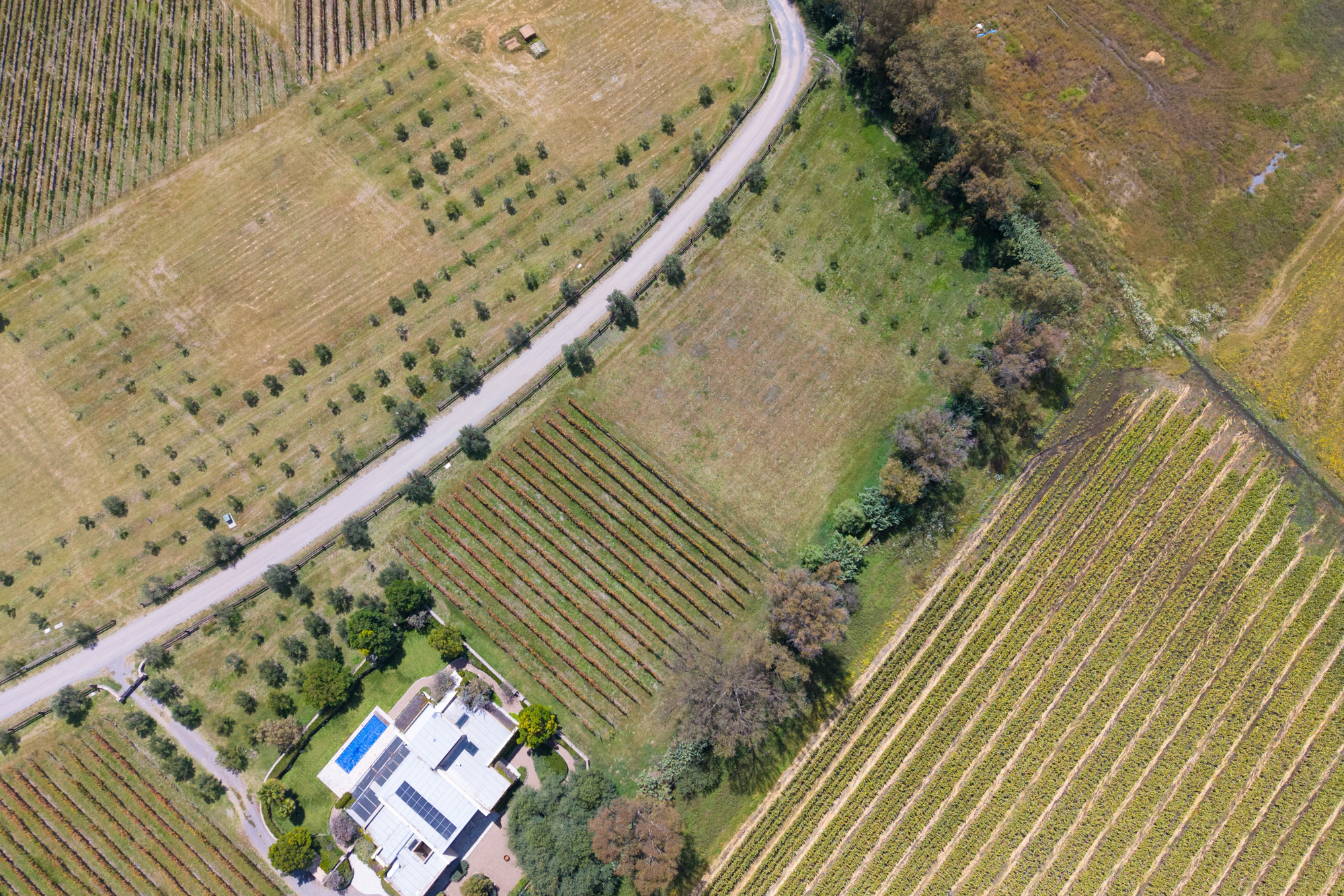  San Francisco Vineyards Lot 1 - 物件實景